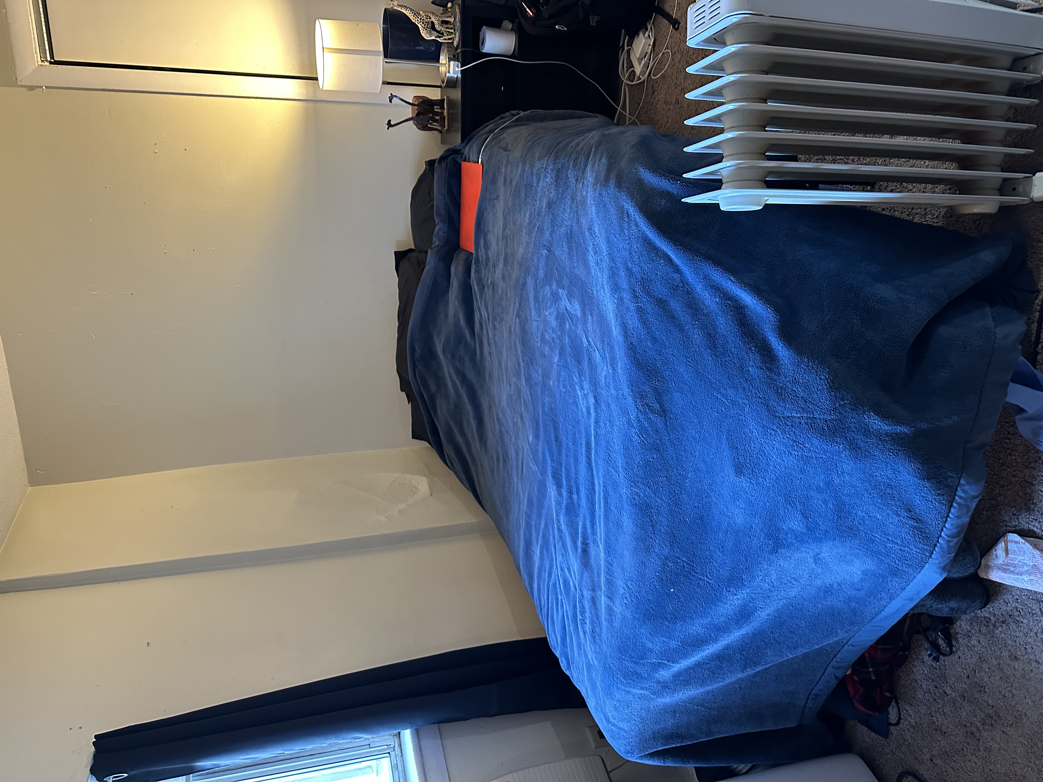 231 Harrison Ave, Chinatown