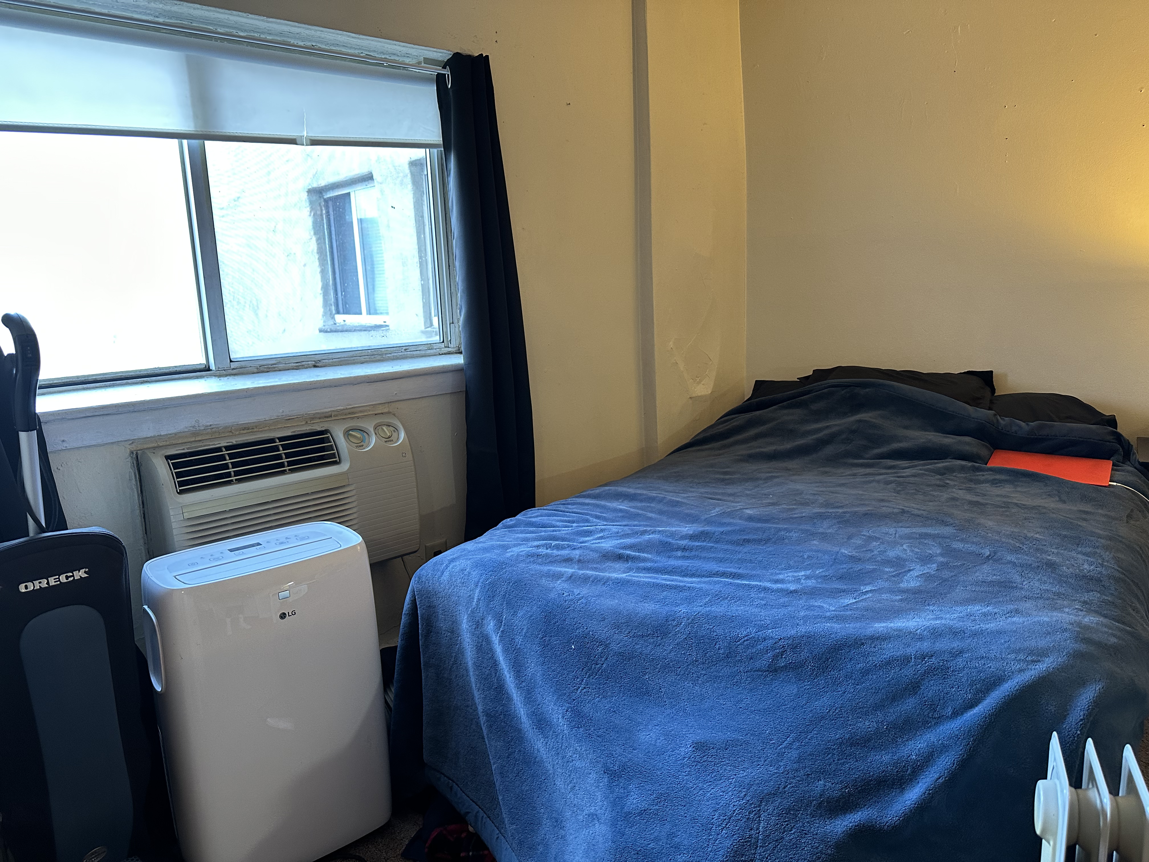 231 Harrison Ave, Chinatown