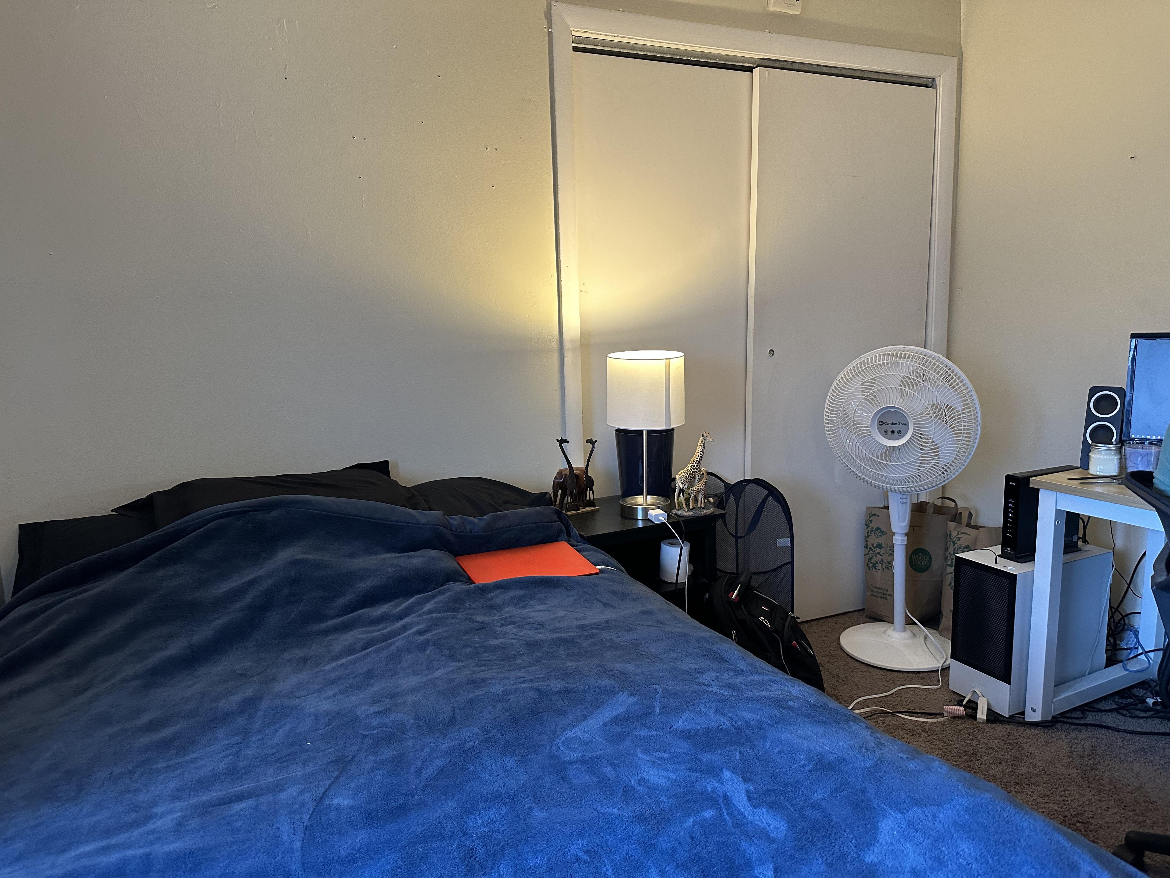 231 Harrison Ave, Chinatown