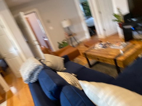 43 Parkton, Jamaica Plain