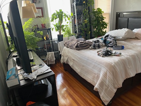 43 Parkton, Jamaica Plain