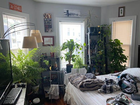 43 Parkton, Jamaica Plain