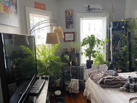 43 Parkton, Jamaica Plain