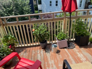 43 Parkton, Jamaica Plain