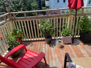 43 Parkton, Jamaica Plain