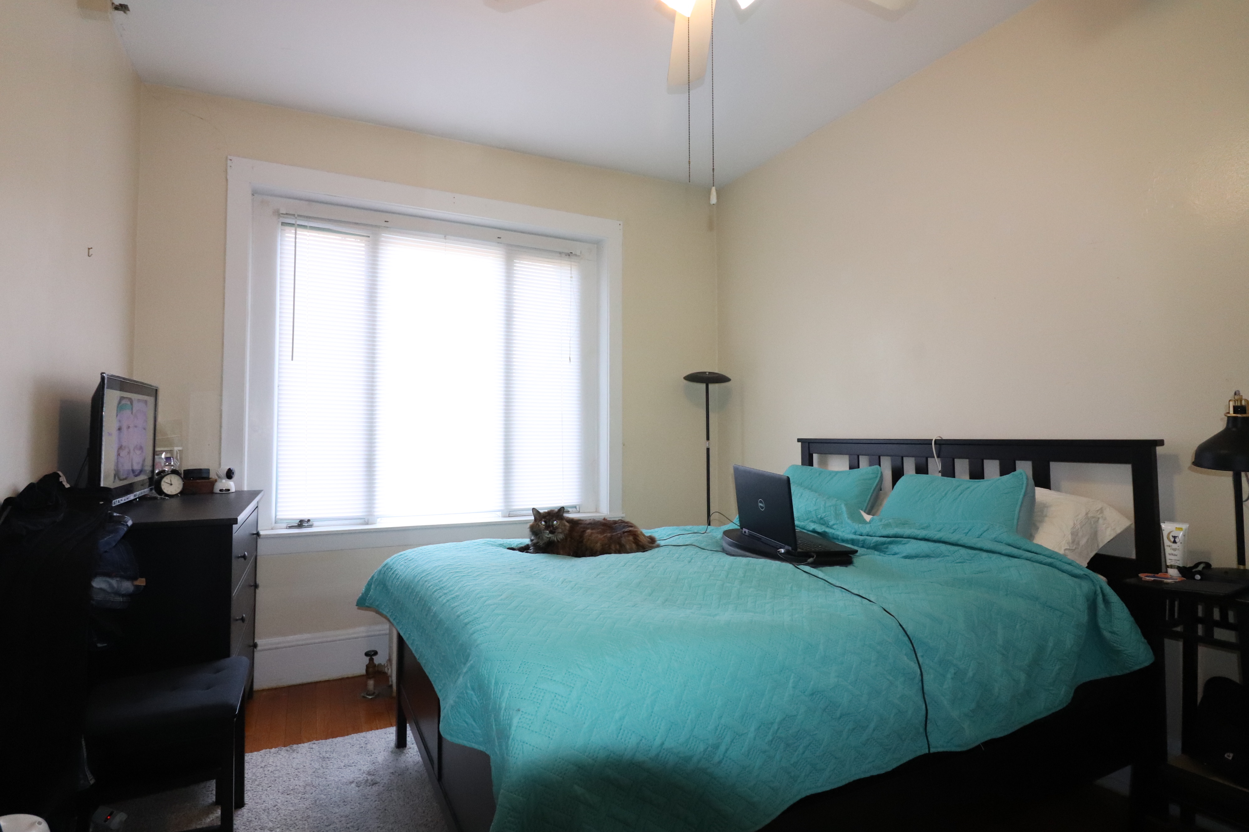 1477 Beacon St, Coolidge Corner