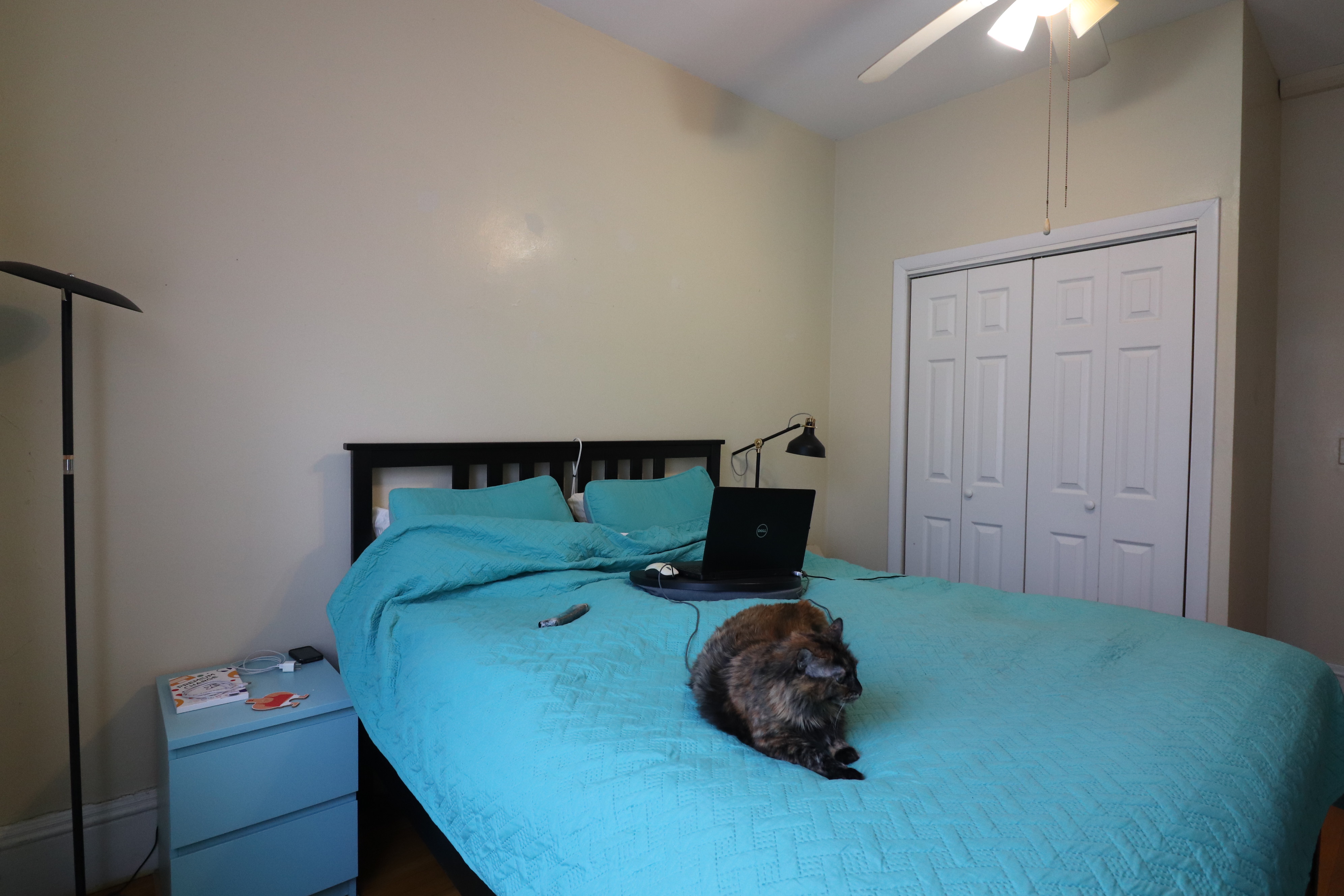 1477 Beacon St, Coolidge Corner