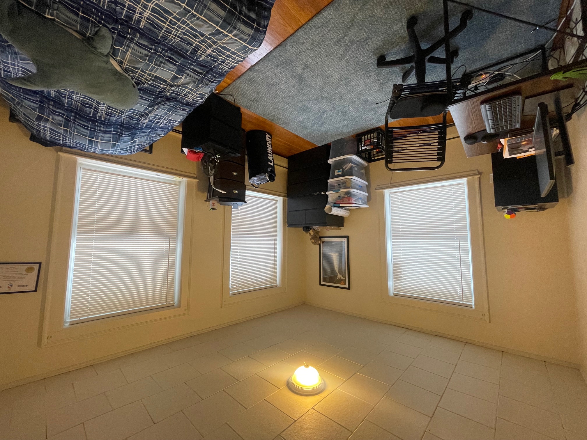 36 College Ave, Tufts