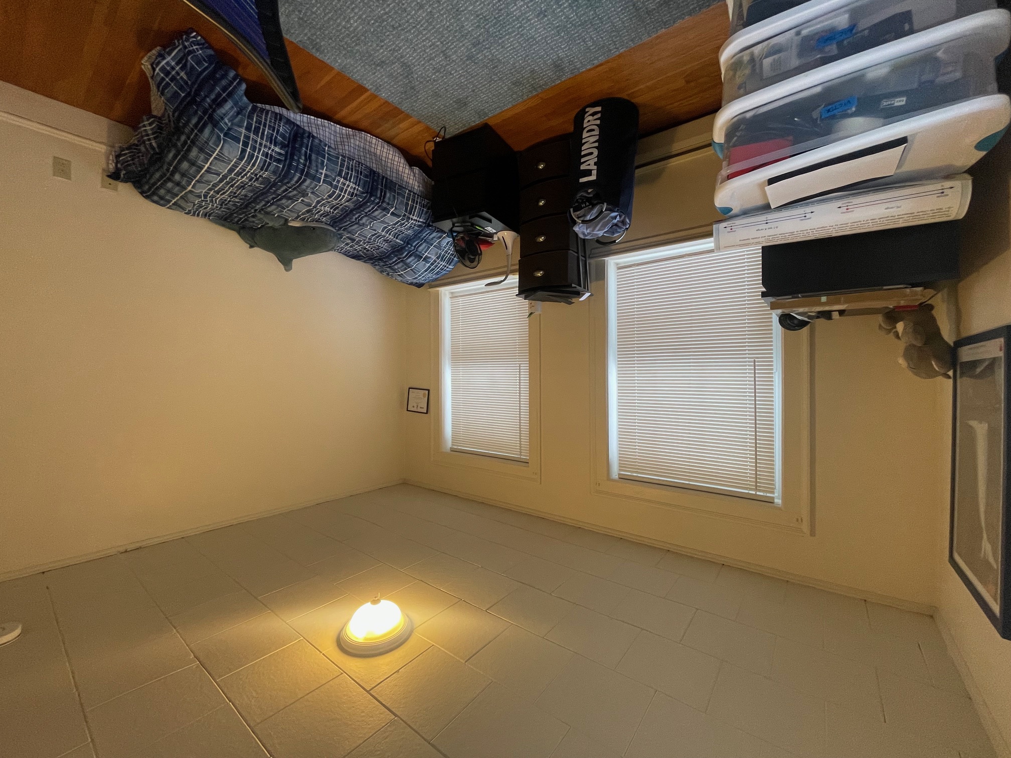 36 College Ave, Tufts