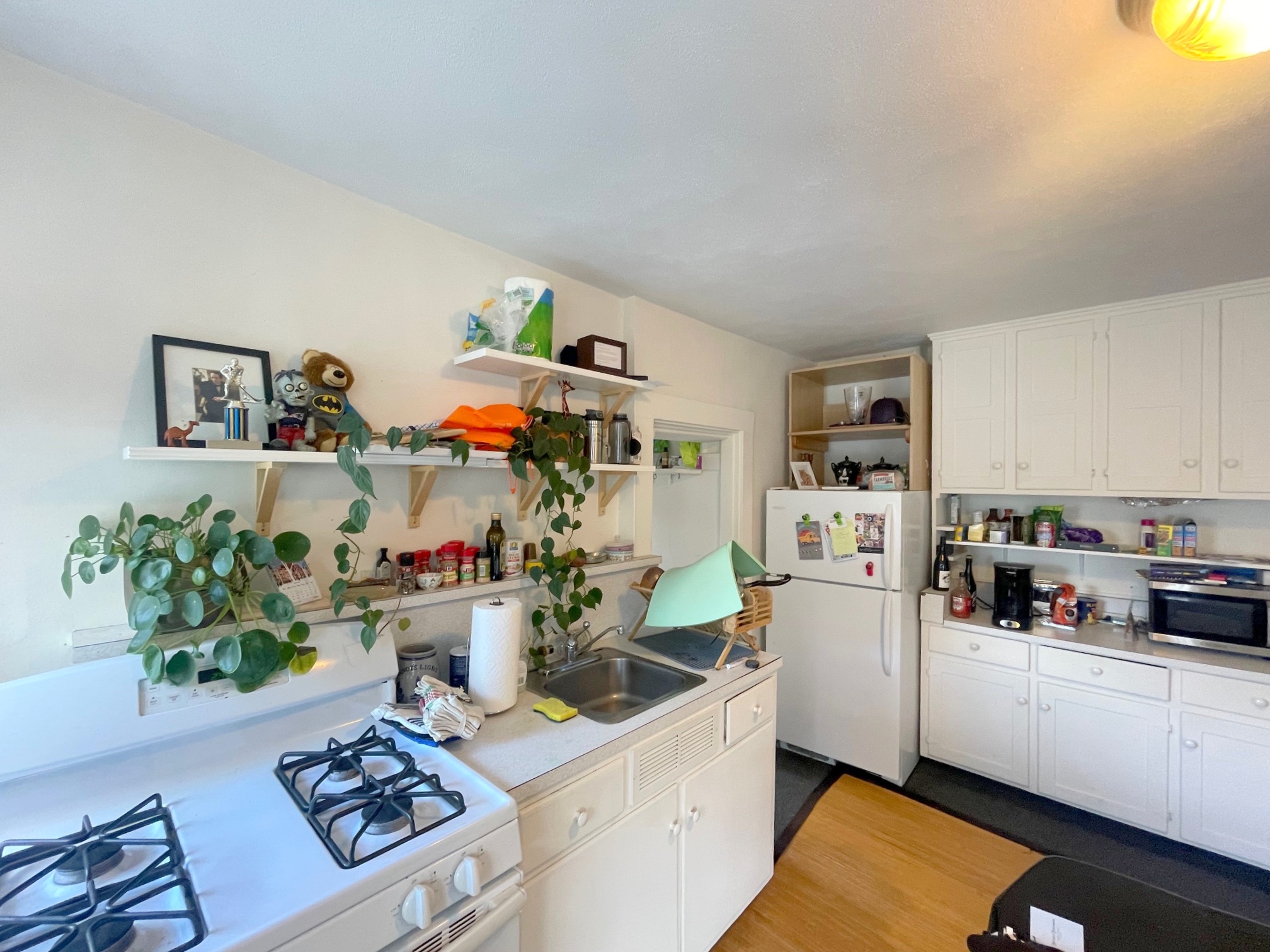 46 Meacham Rd, Davis Square