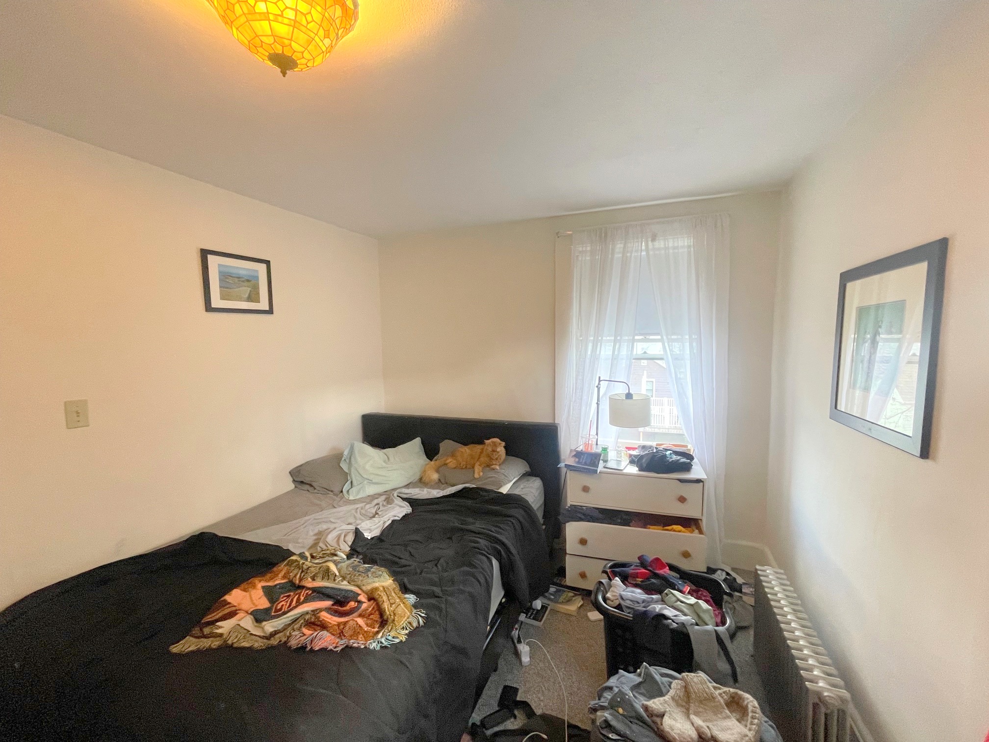 46 Meacham Rd, Davis Square