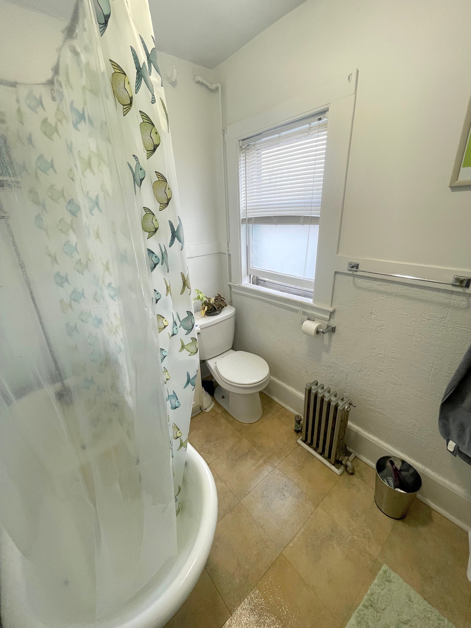 46 Meacham Rd, Davis Square