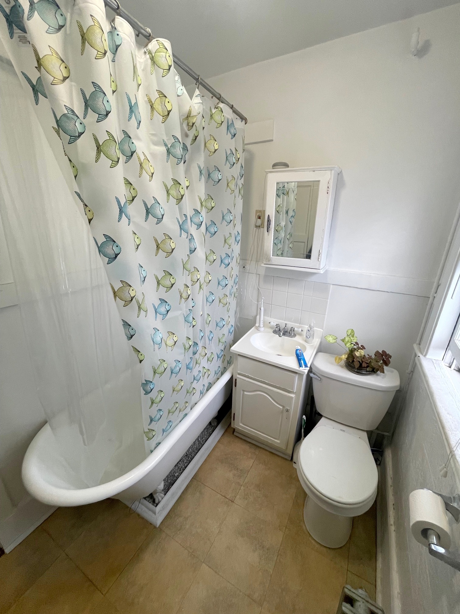 46 Meacham Rd, Davis Square