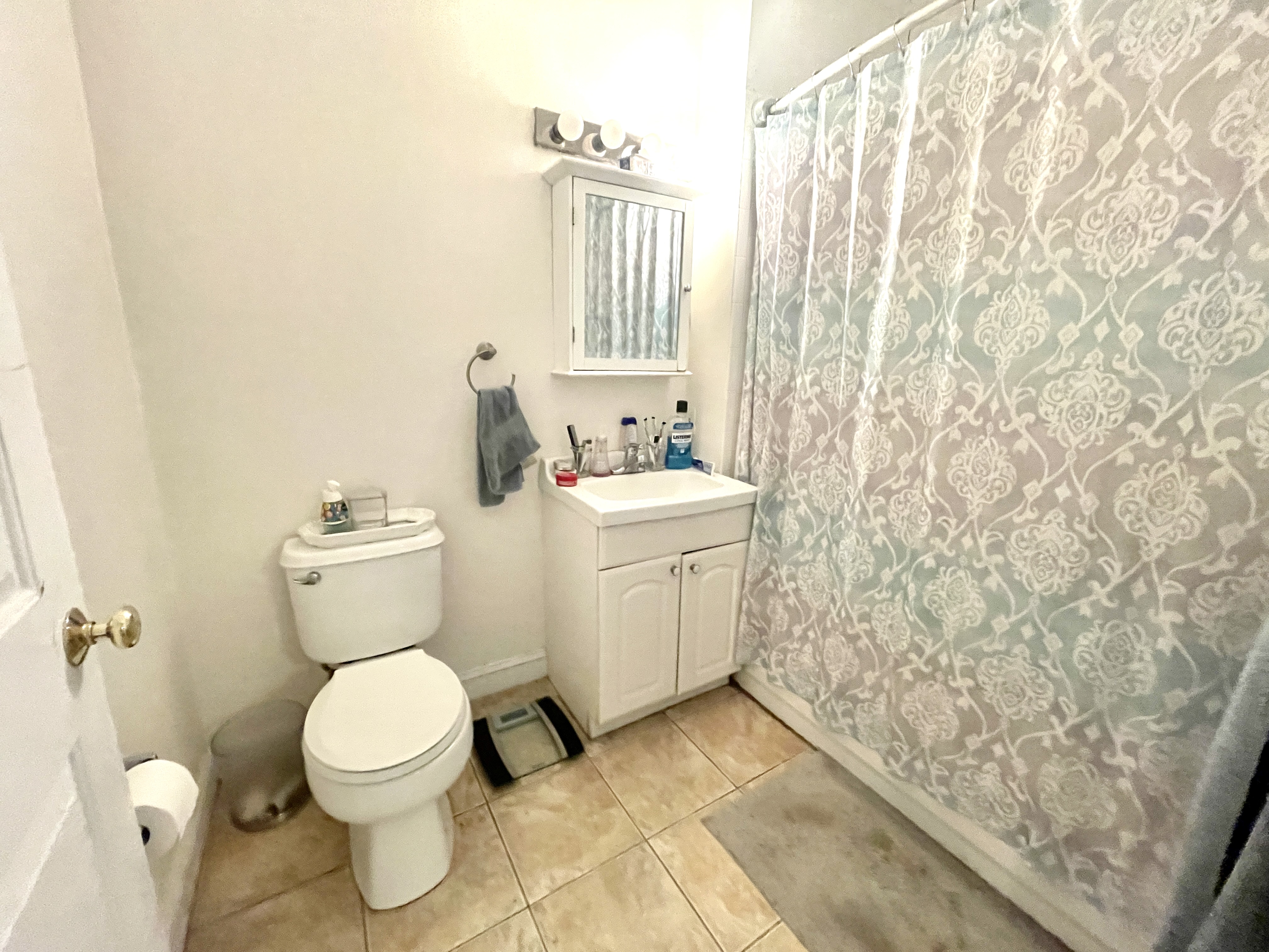 8 Glencoe St, Brighton