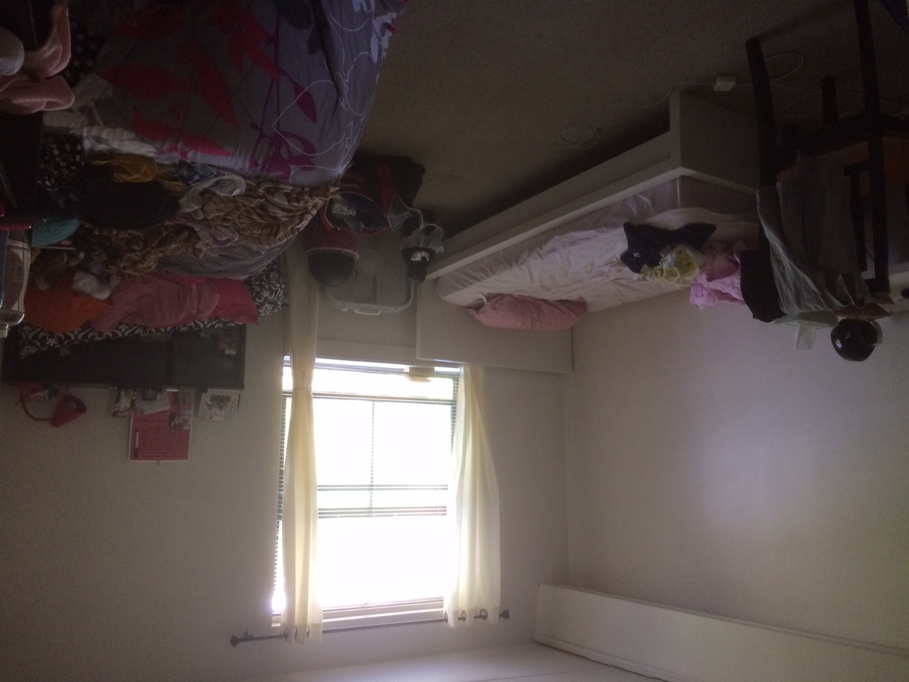 3 Douglas Park, Fenway