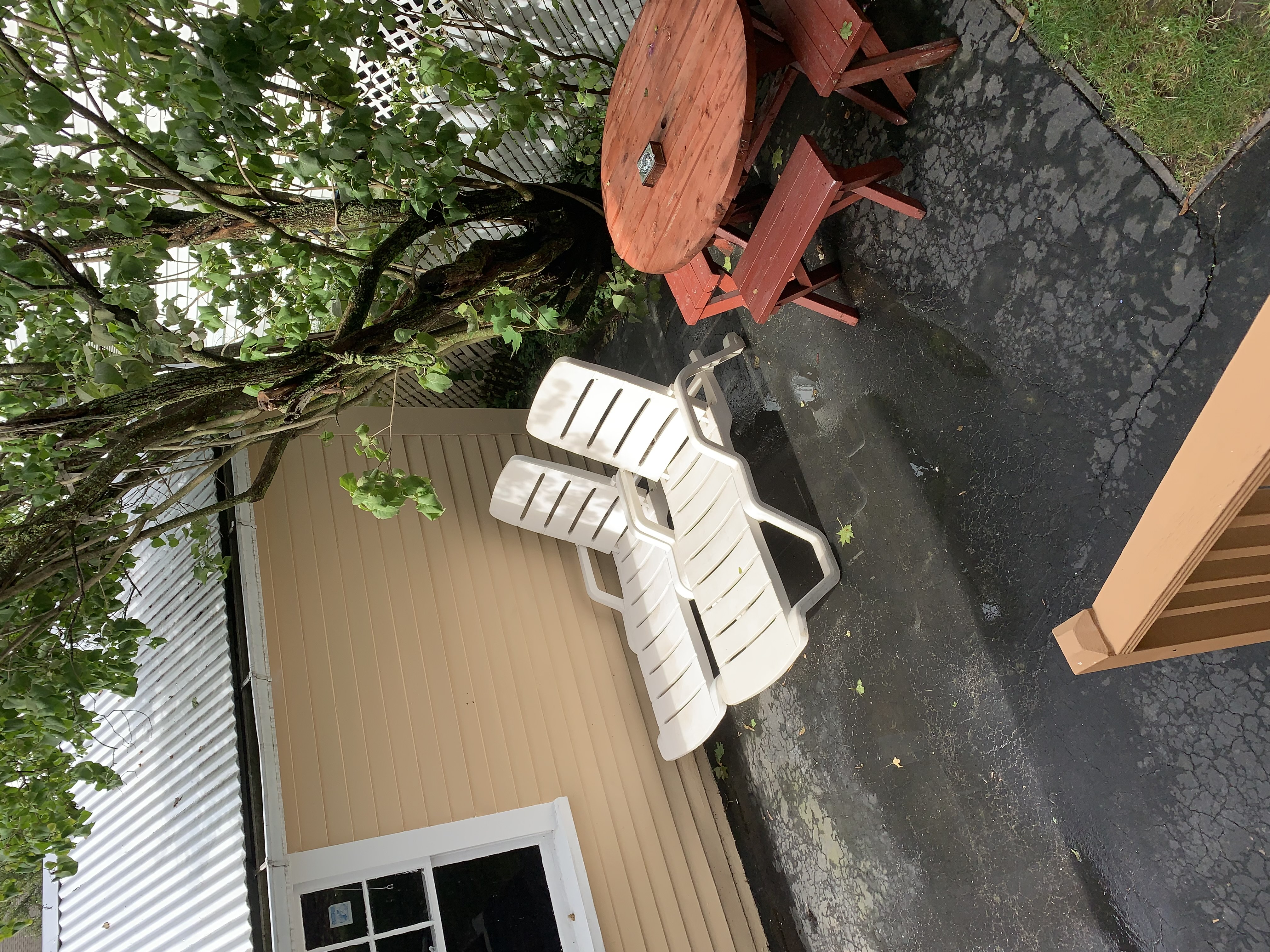 127 Selwyn St, Roslindale