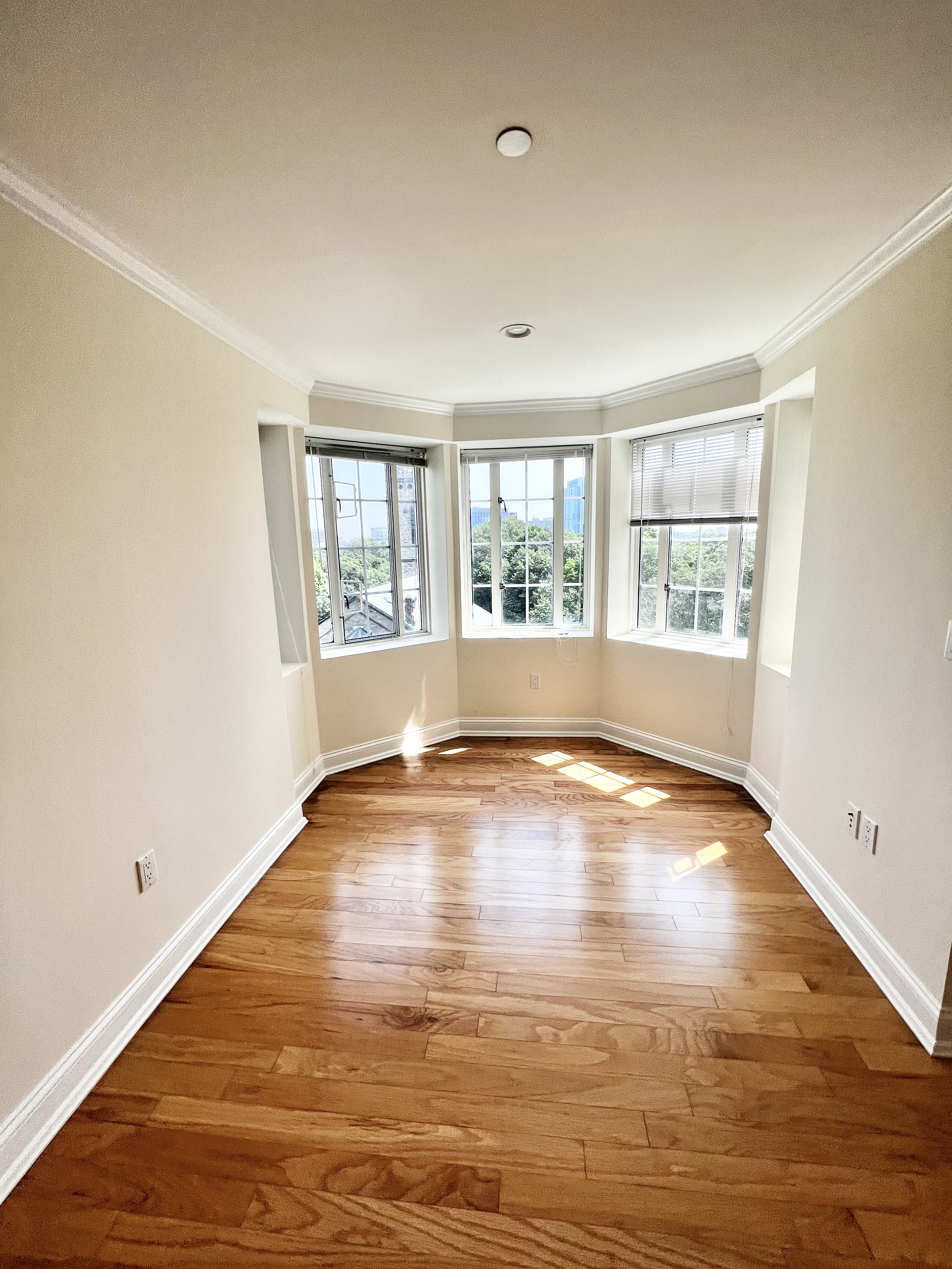 17 Chapel St, Longwood