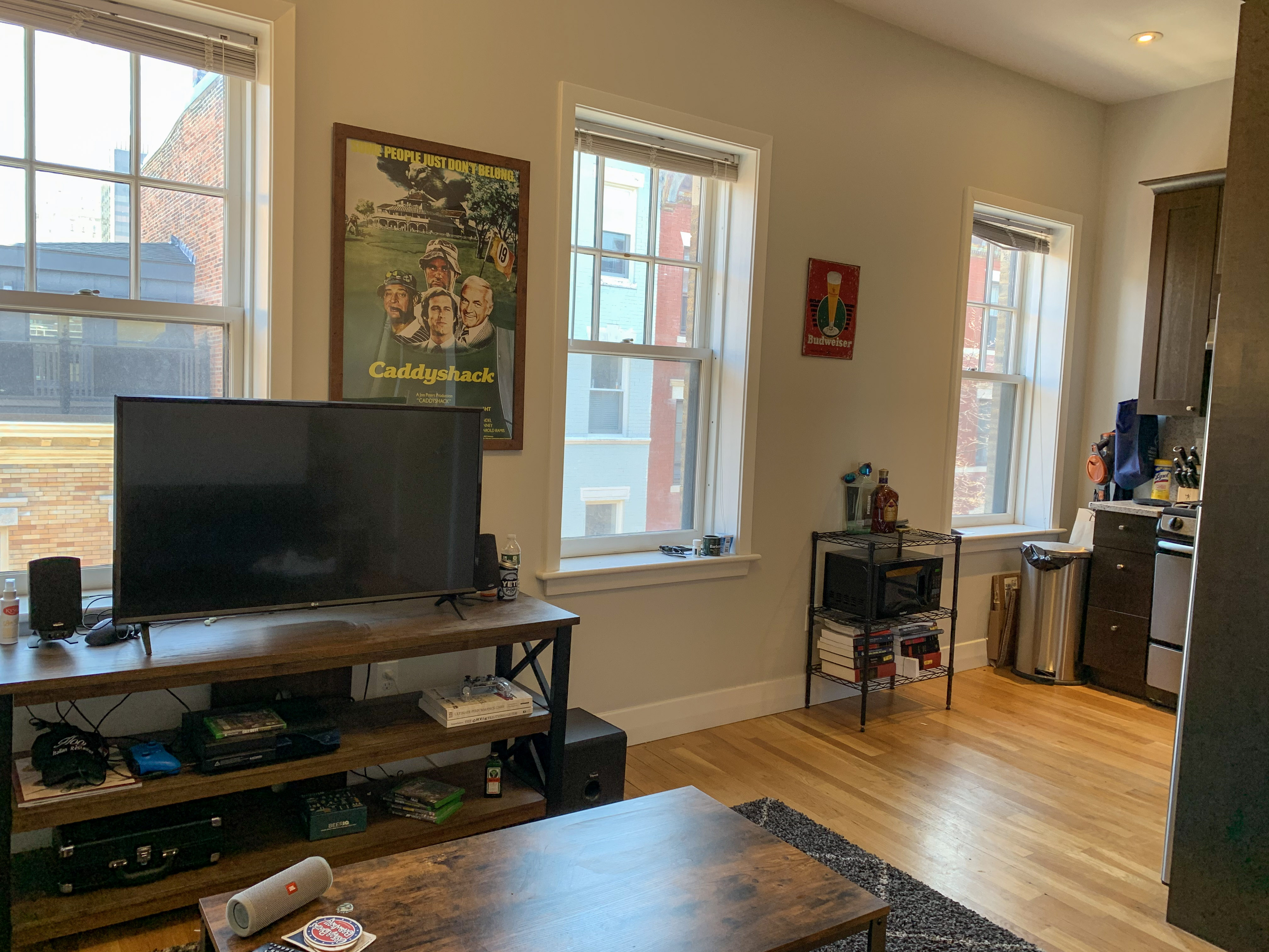 33 Anderson St, Beacon Hill