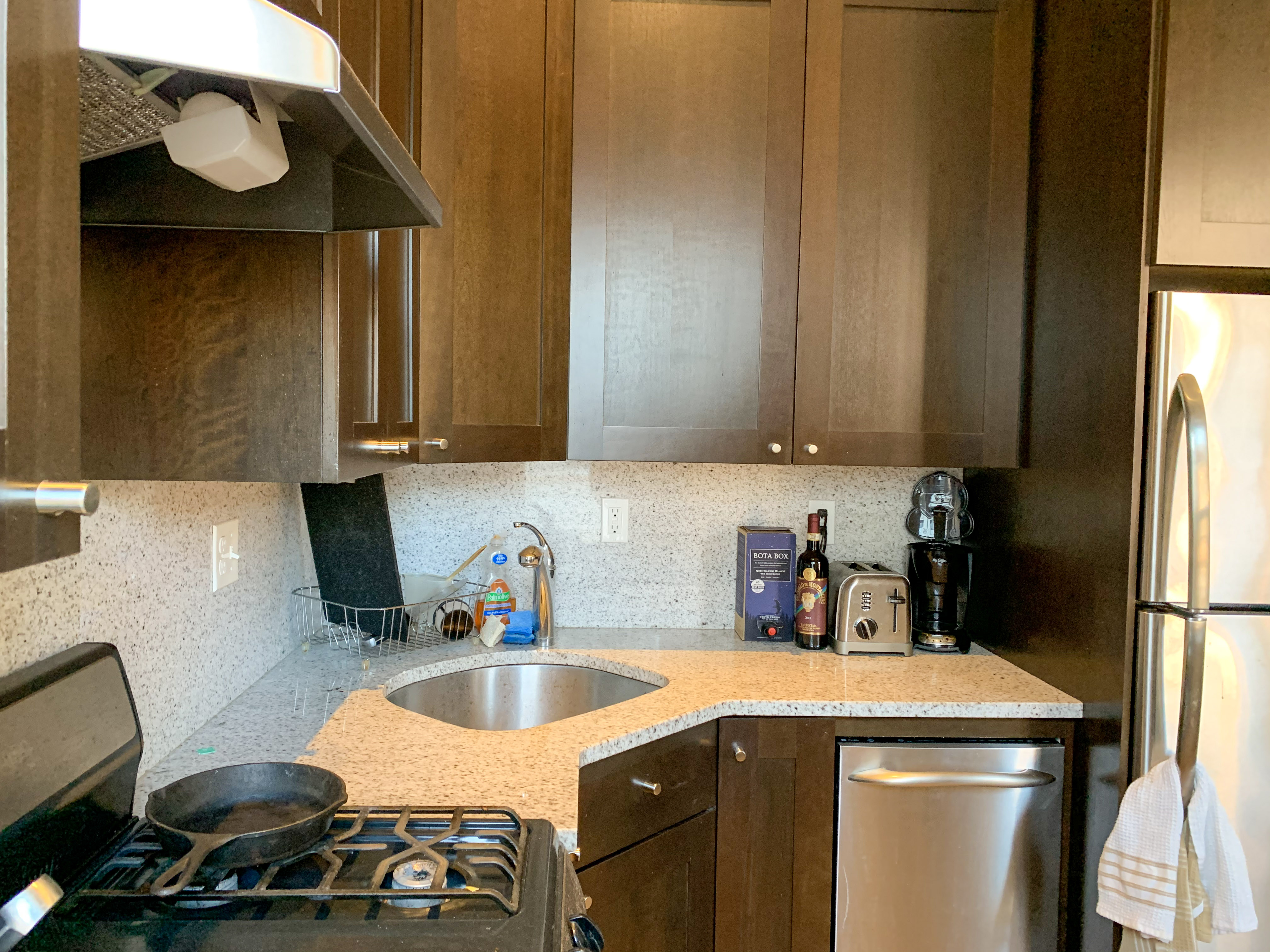 33 Anderson St, Beacon Hill