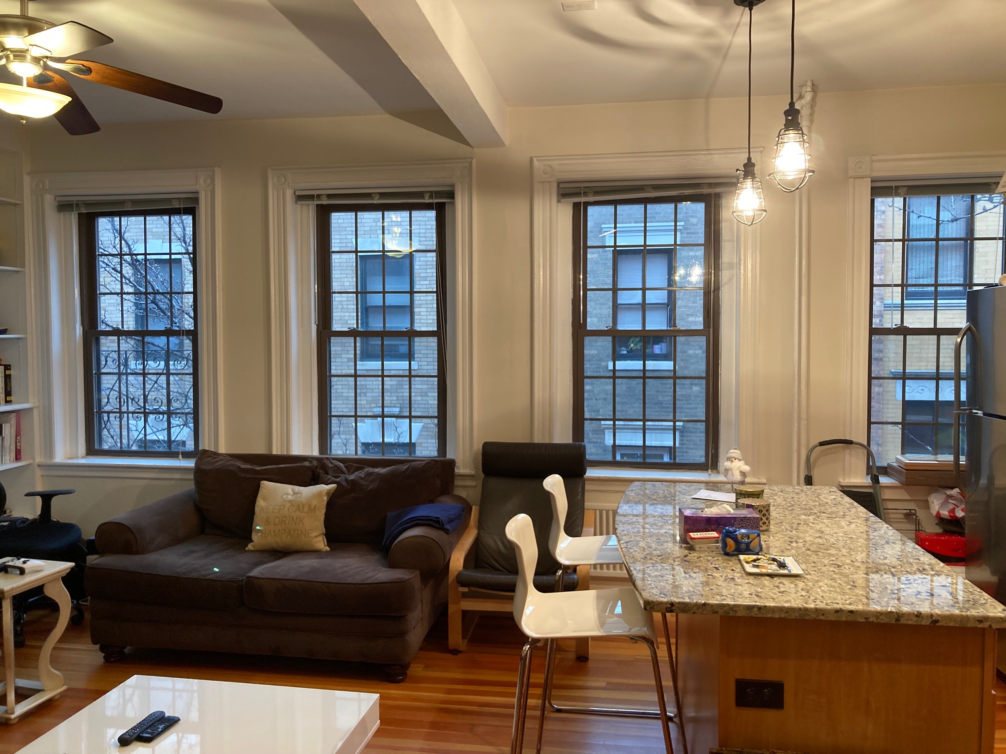 99 Myrtle St, Beacon Hill