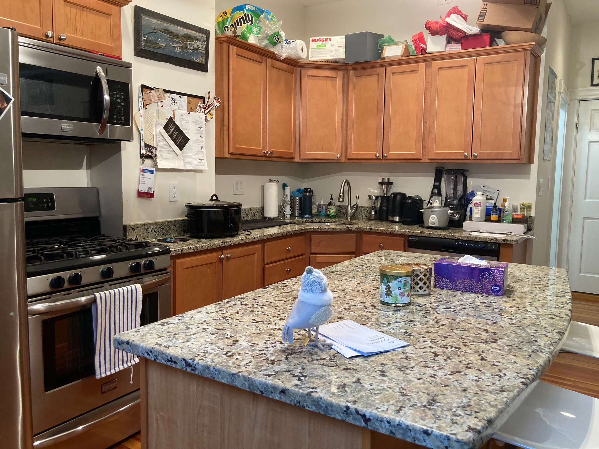 99 Myrtle St, Beacon Hill