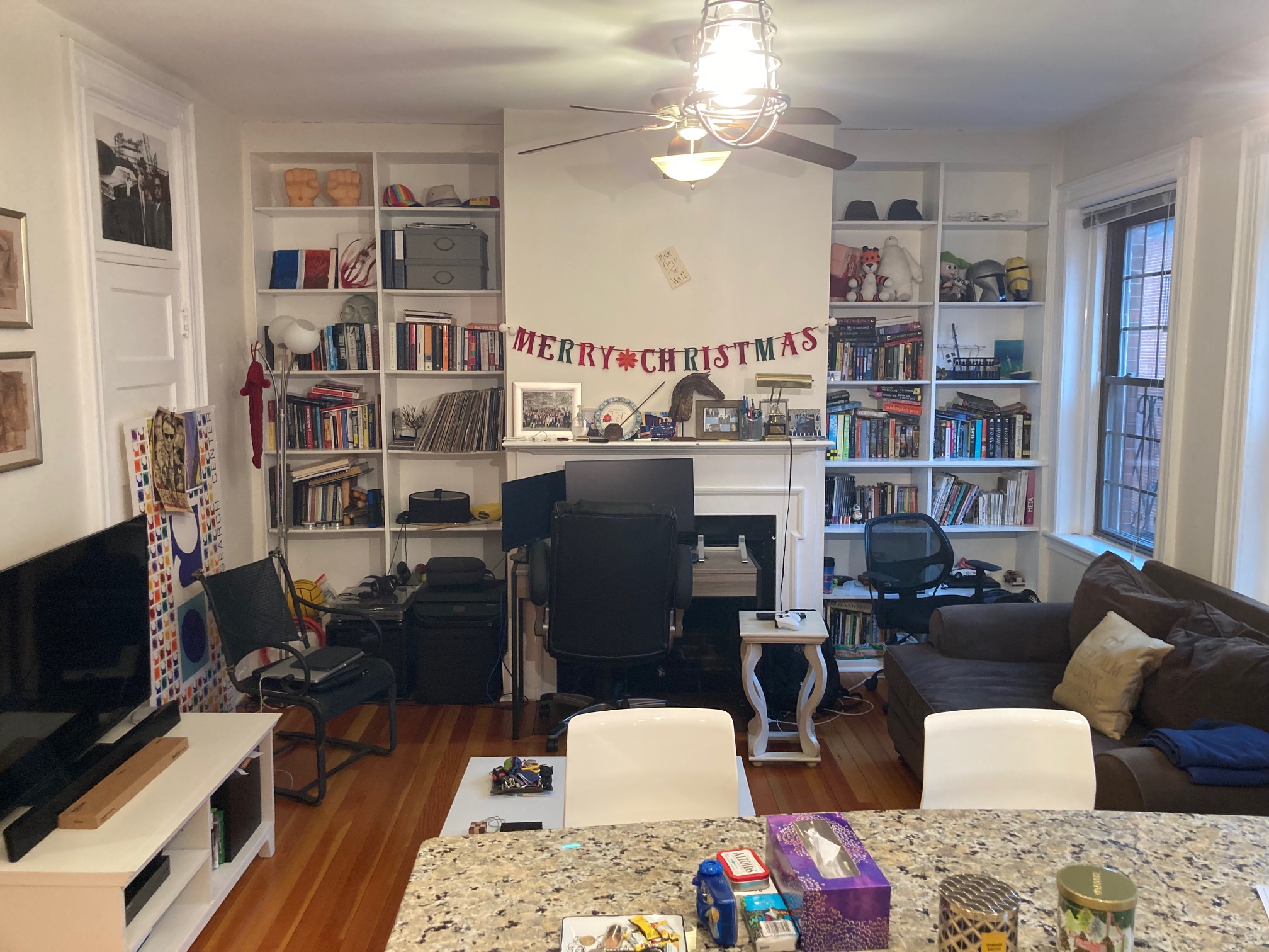 99 Myrtle St, Beacon Hill