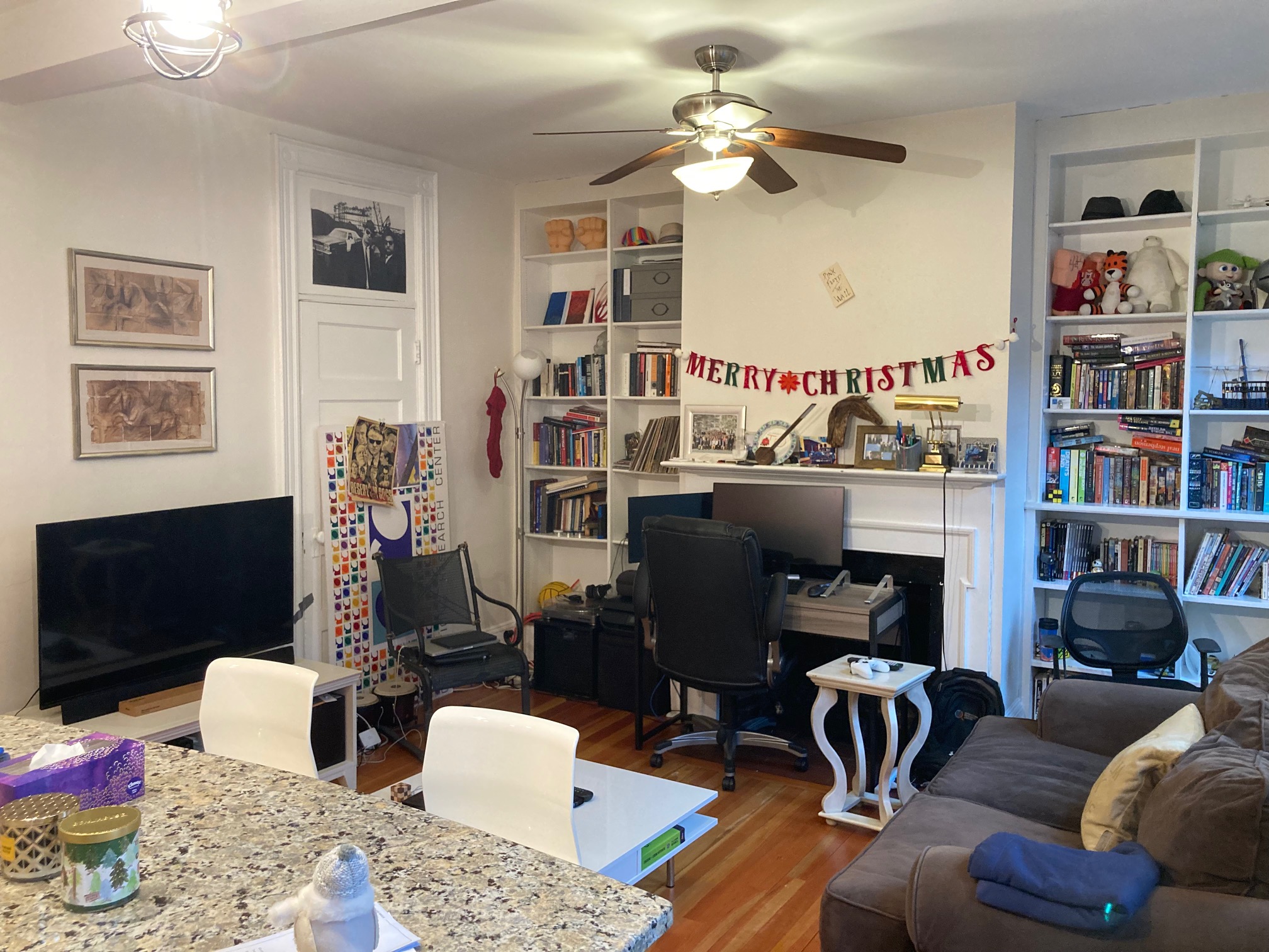 99 Myrtle St, Beacon Hill