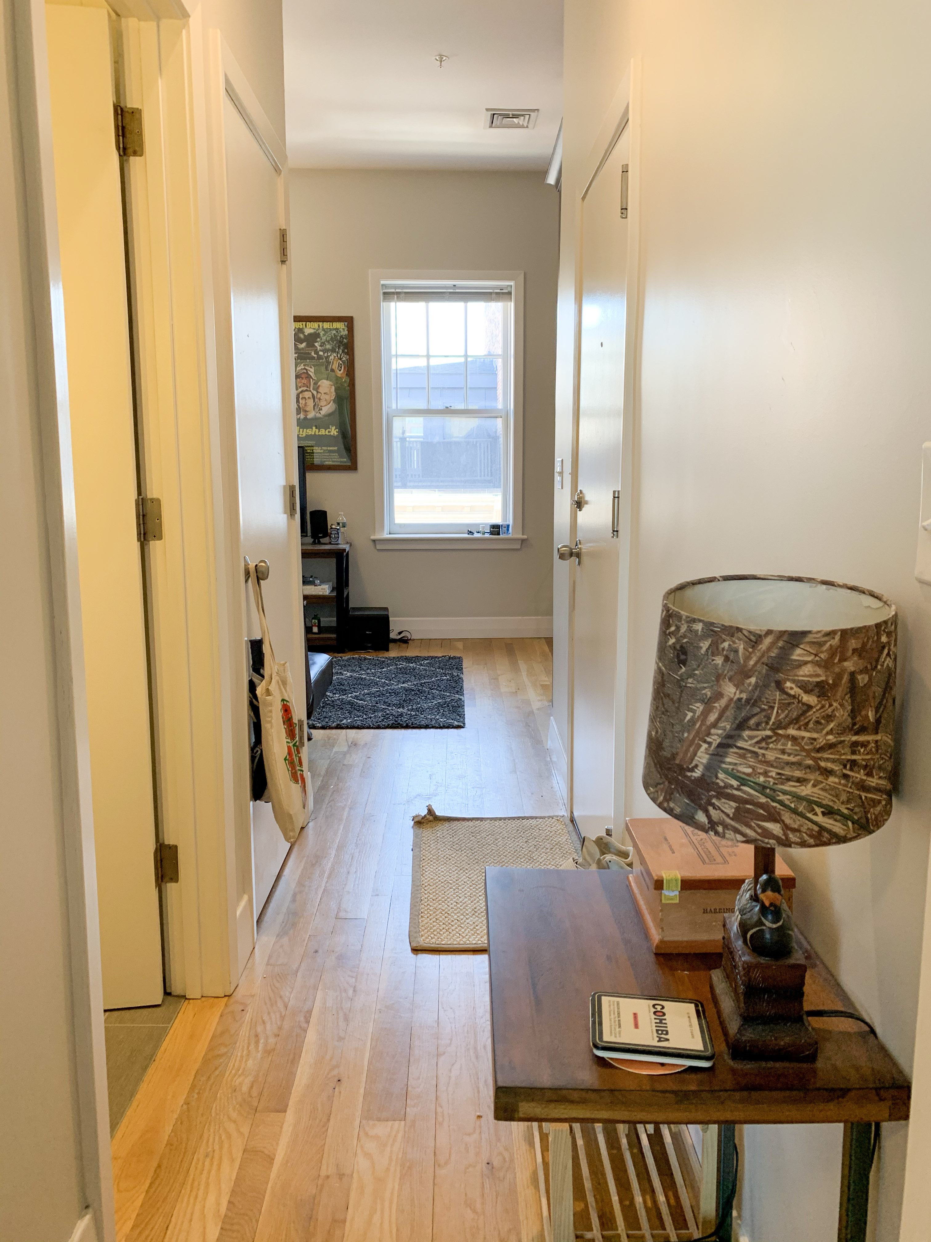 33 Anderson St, Beacon Hill