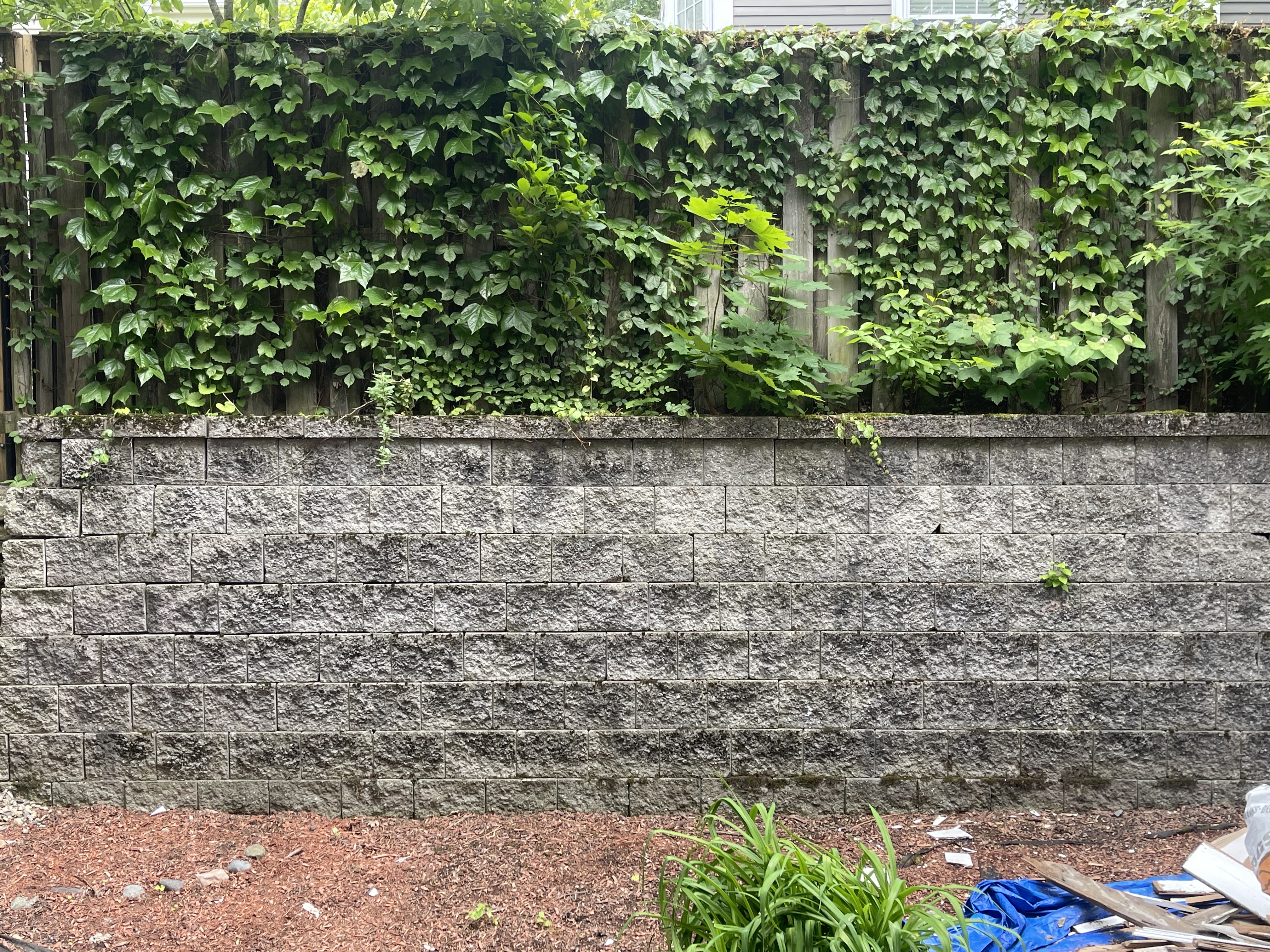 10 Cambridge Ter, Porter Square