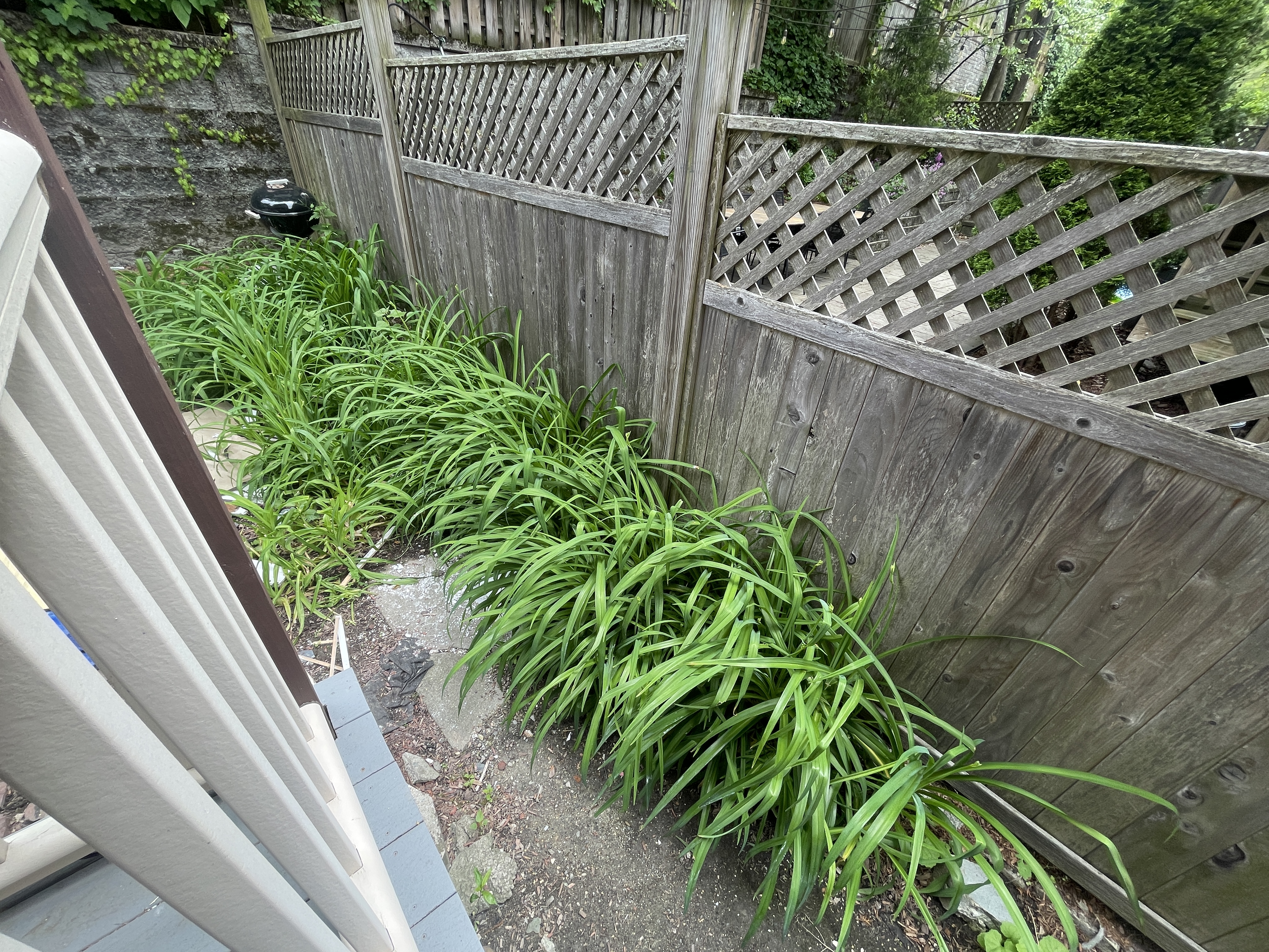 10 Cambridge Ter, Porter Square