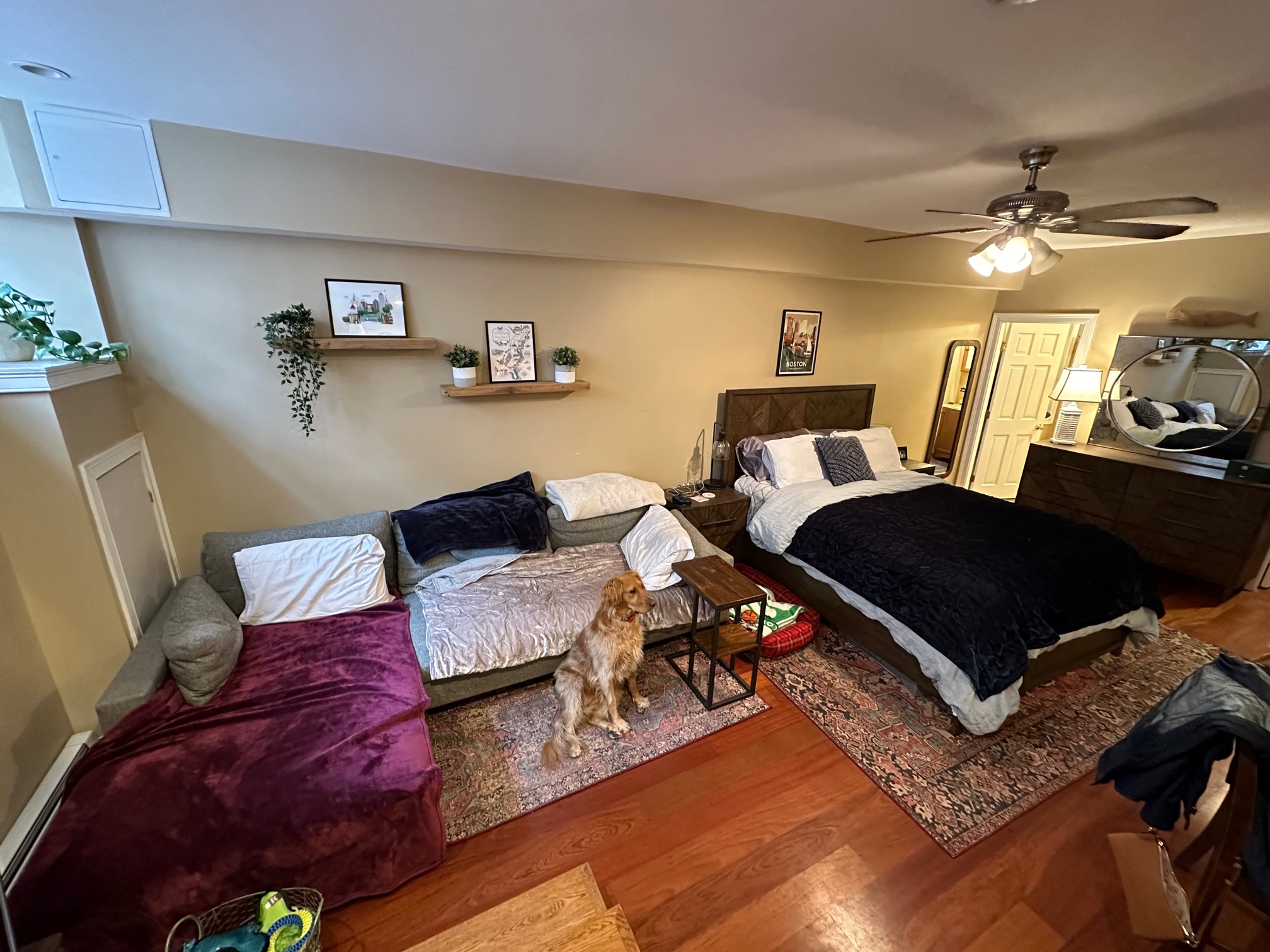 7 Grove St, Beacon Hill