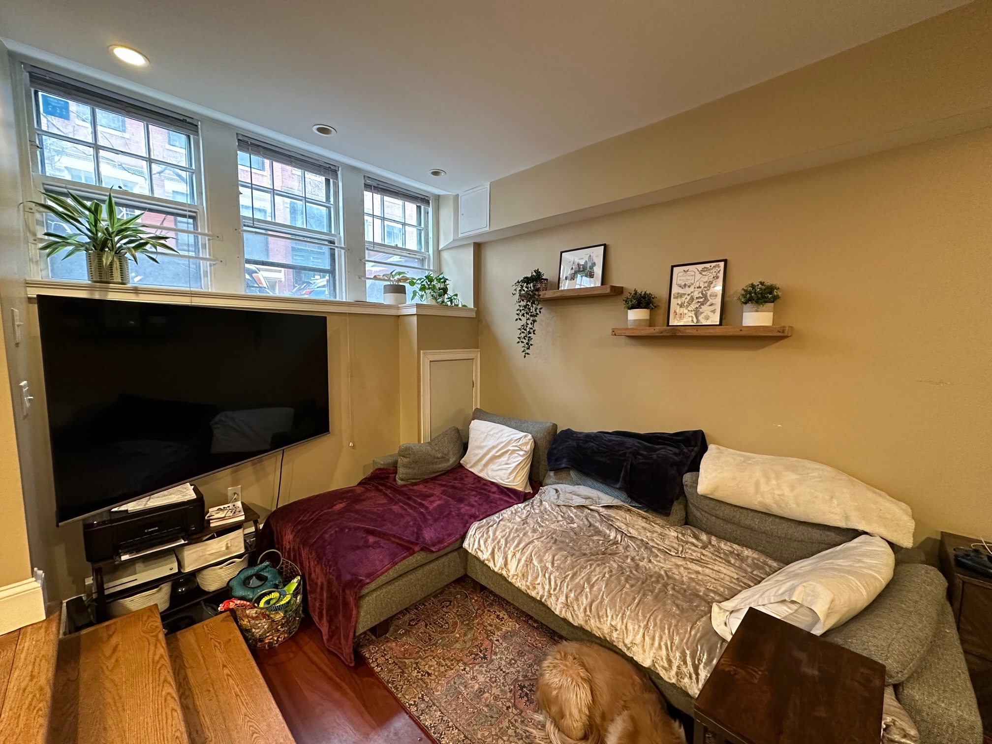 7 Grove St, Beacon Hill