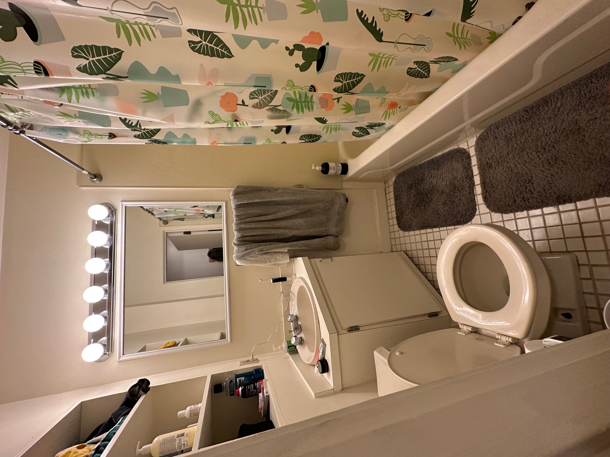 68 Myrtle St, Beacon Hill