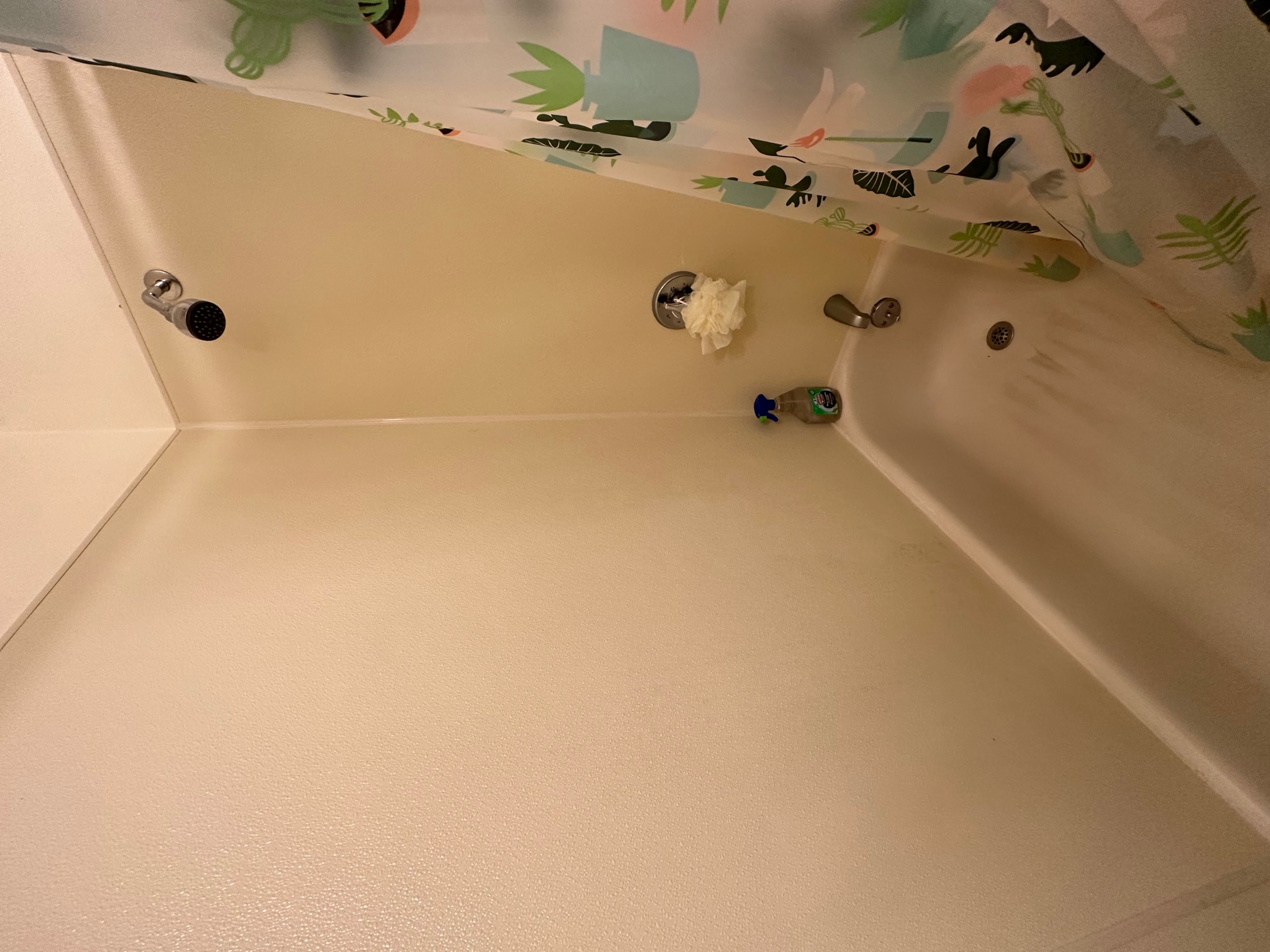 68 Myrtle St, Beacon Hill