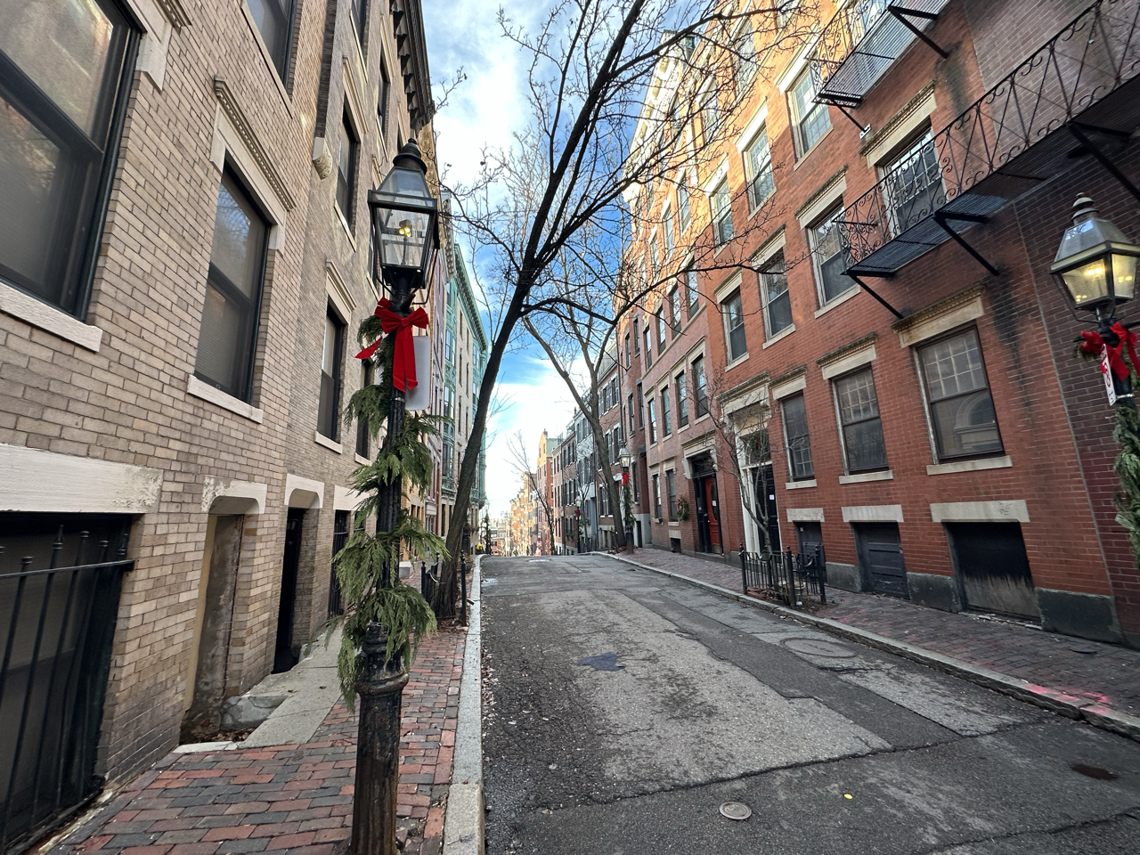 98 Myrtle St, Beacon Hill