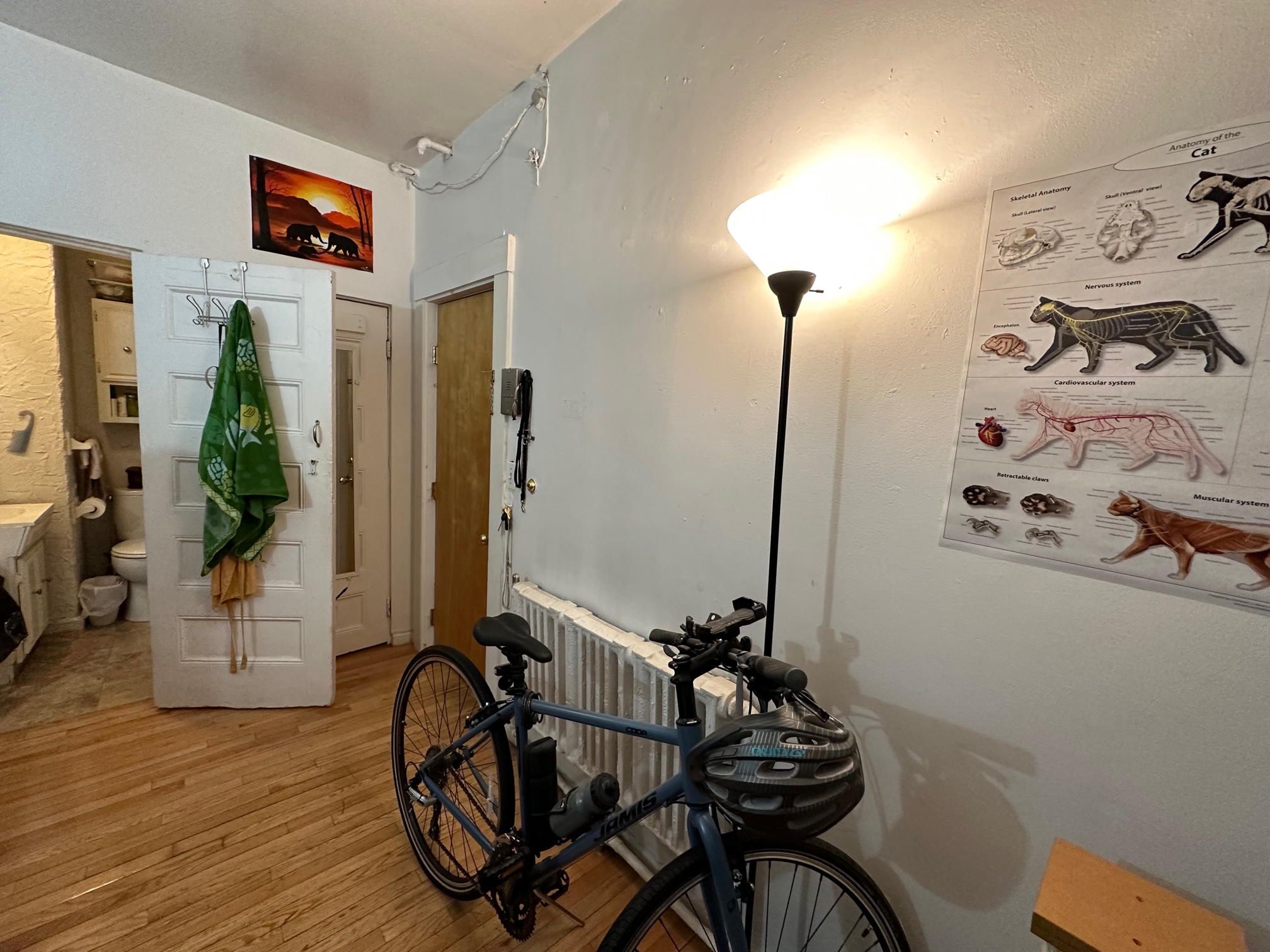 64 Myrtle St, Beacon Hill