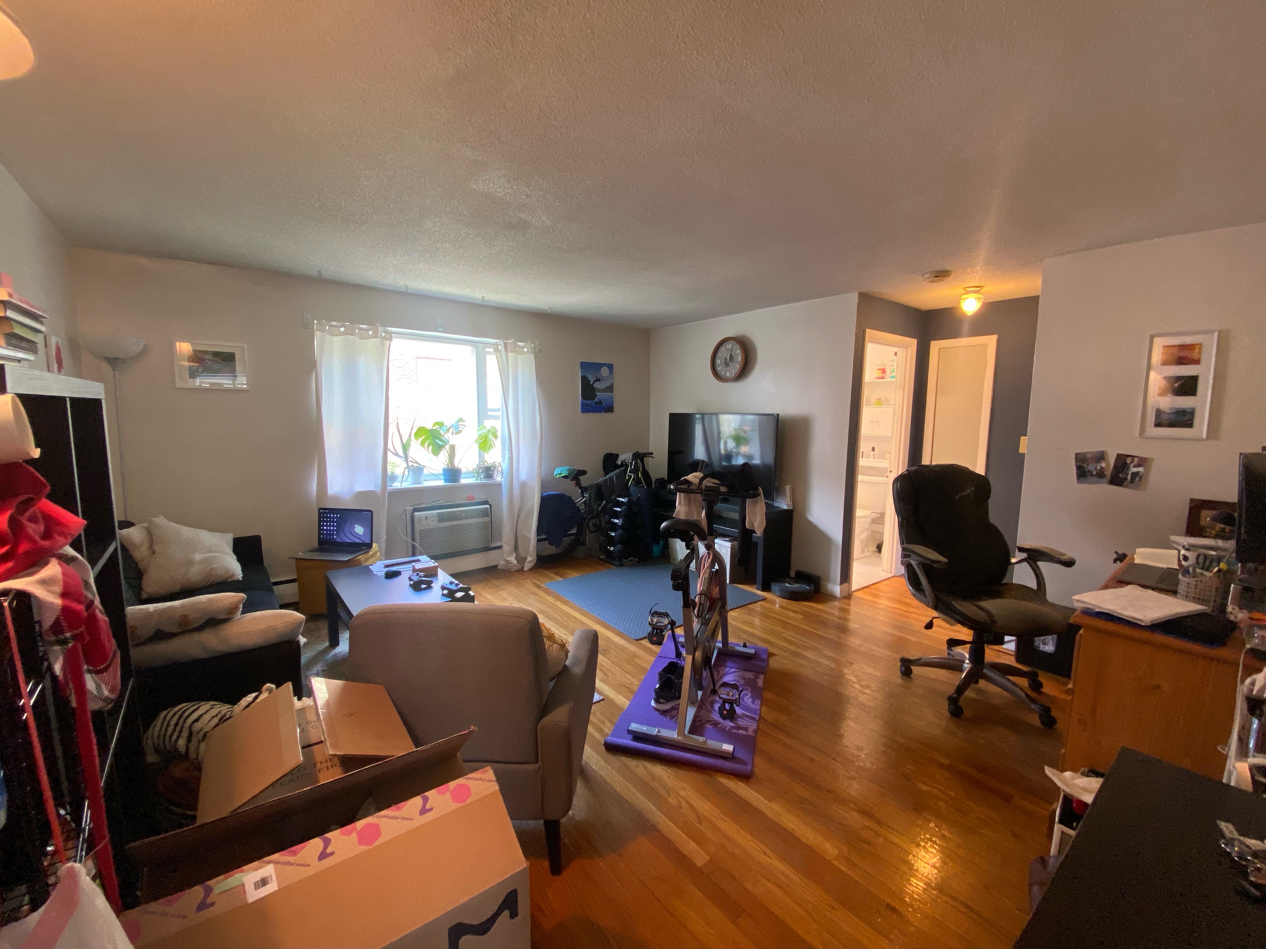 55 Colborne Rd, Brighton