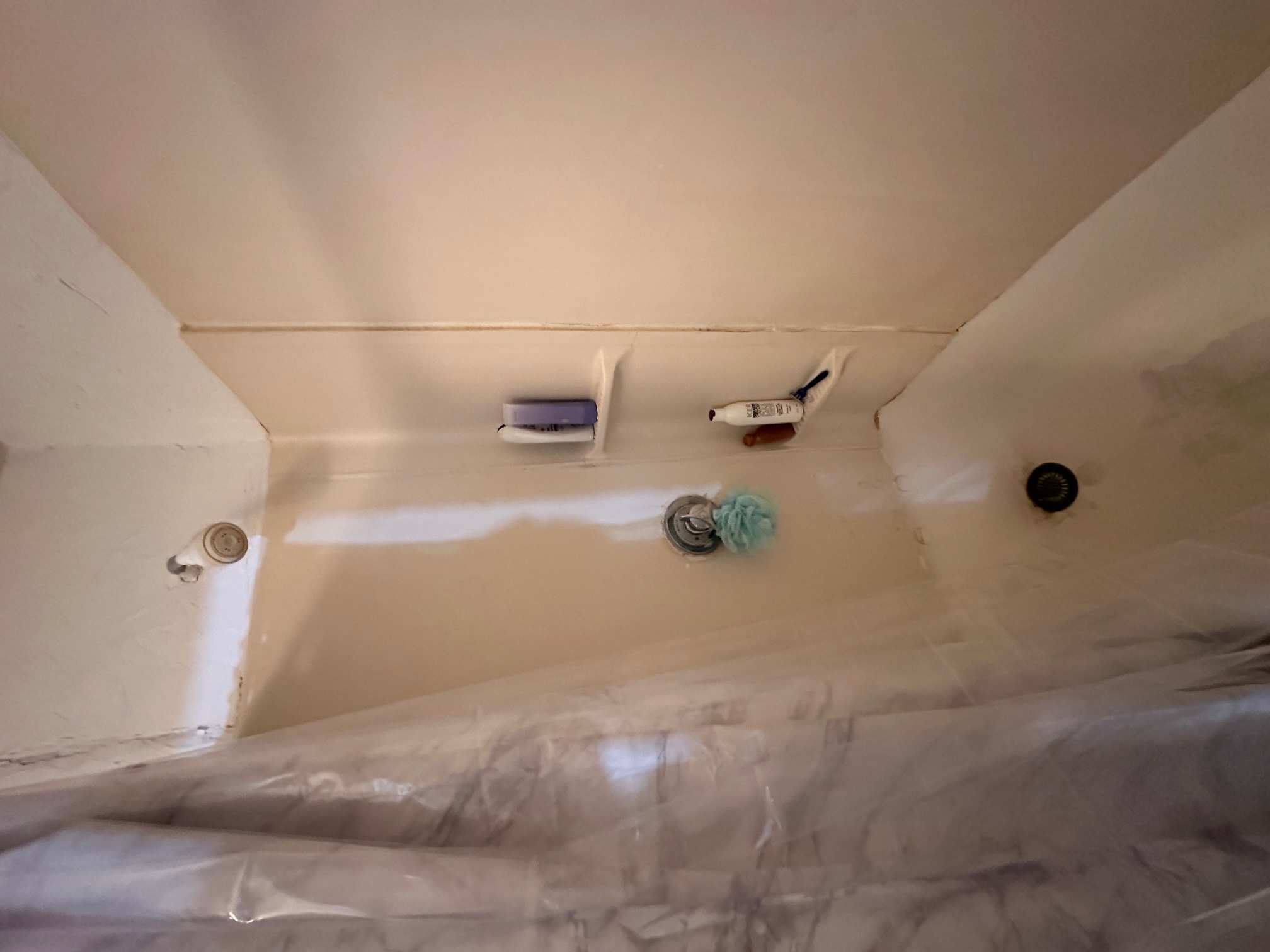 64 Myrtle St, Beacon Hill