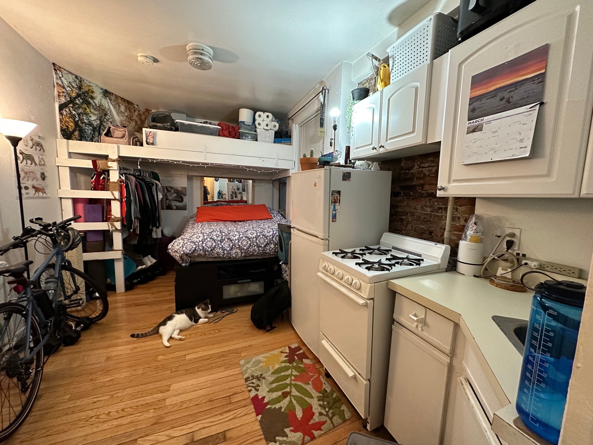 64 Myrtle St, Beacon Hill