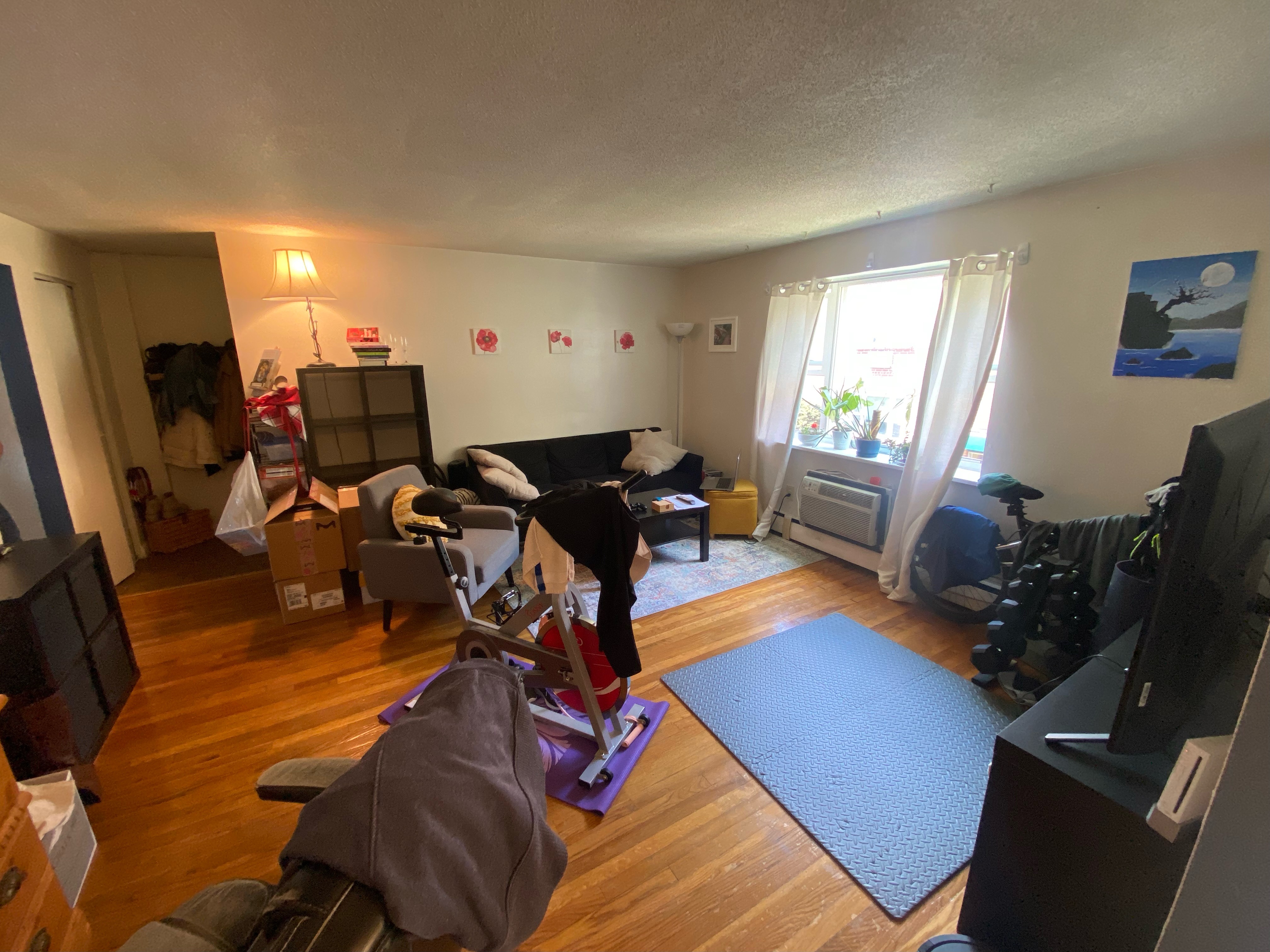 55 Colborne Rd, Brighton