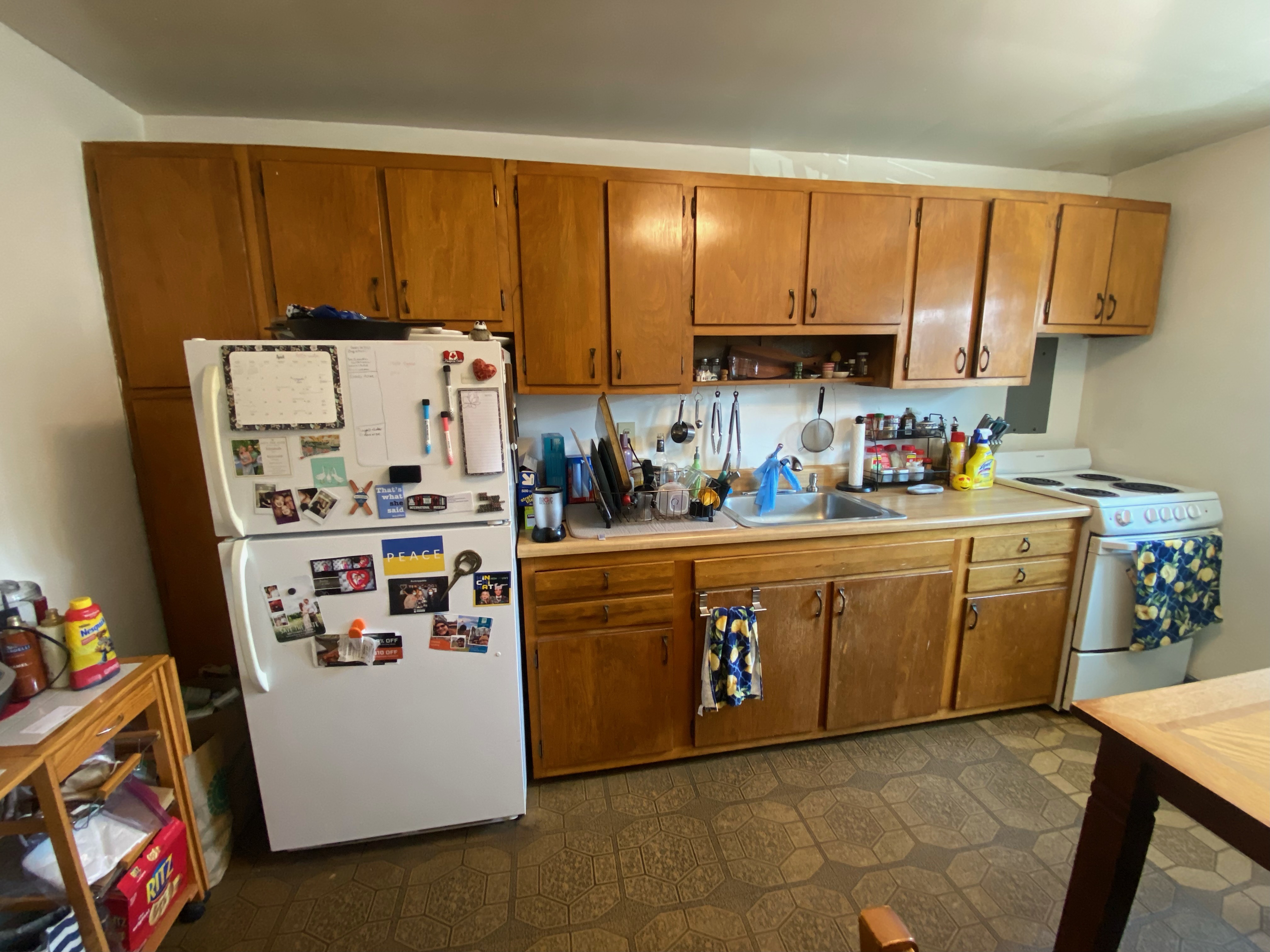 55 Colborne Rd, Brighton