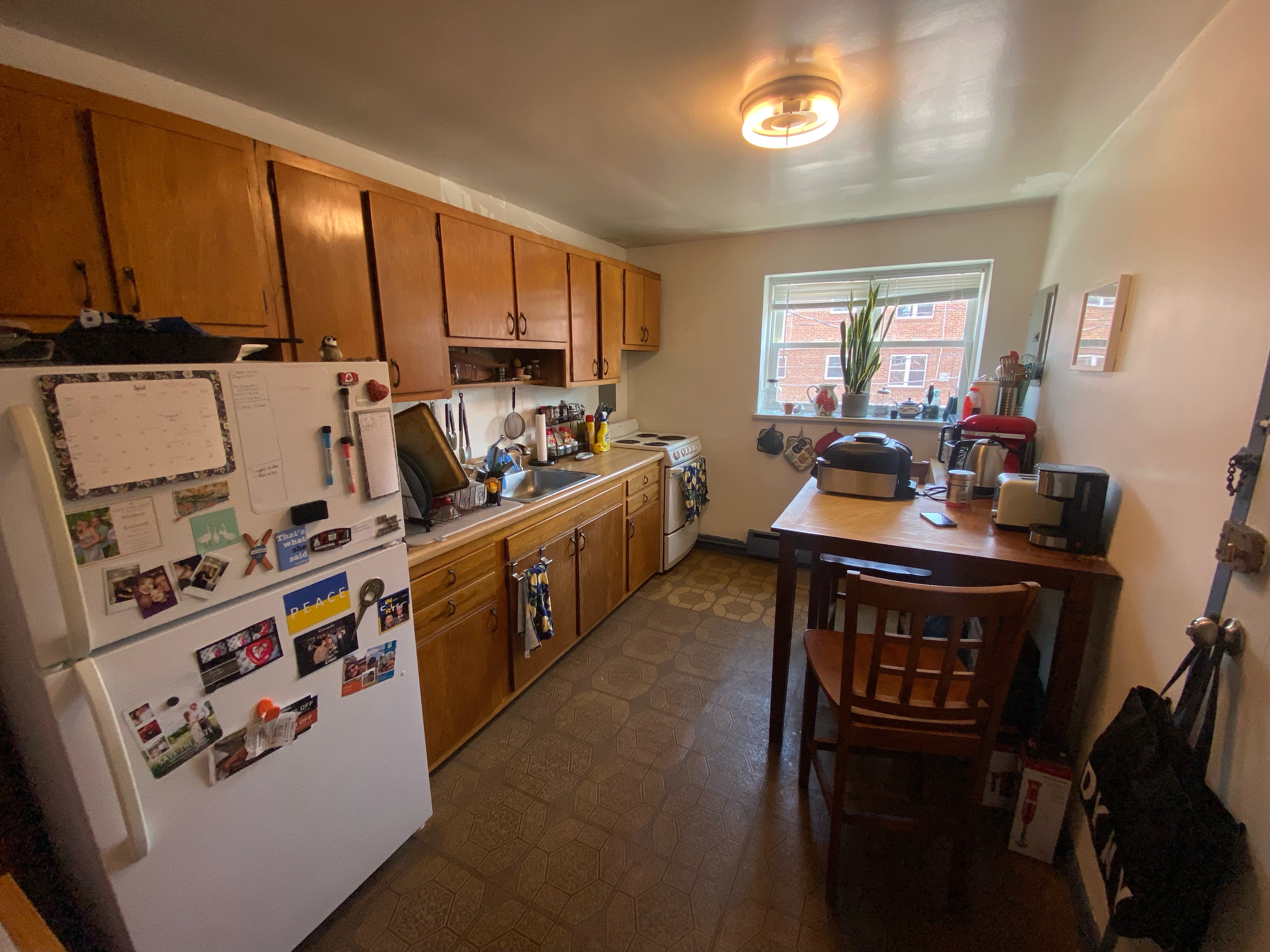 55 Colborne Rd, Brighton