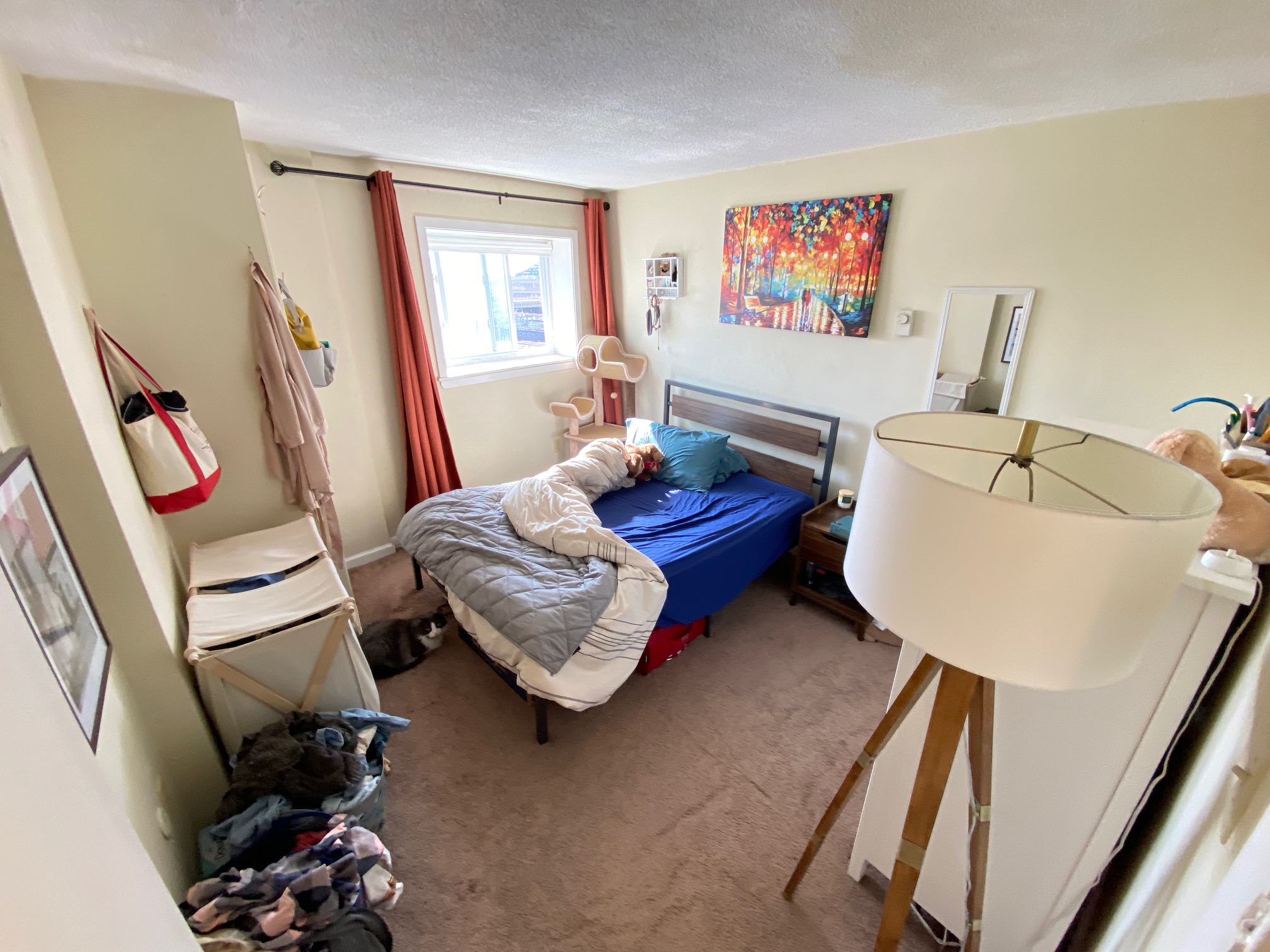 231 Harrison Ave, Chinatown