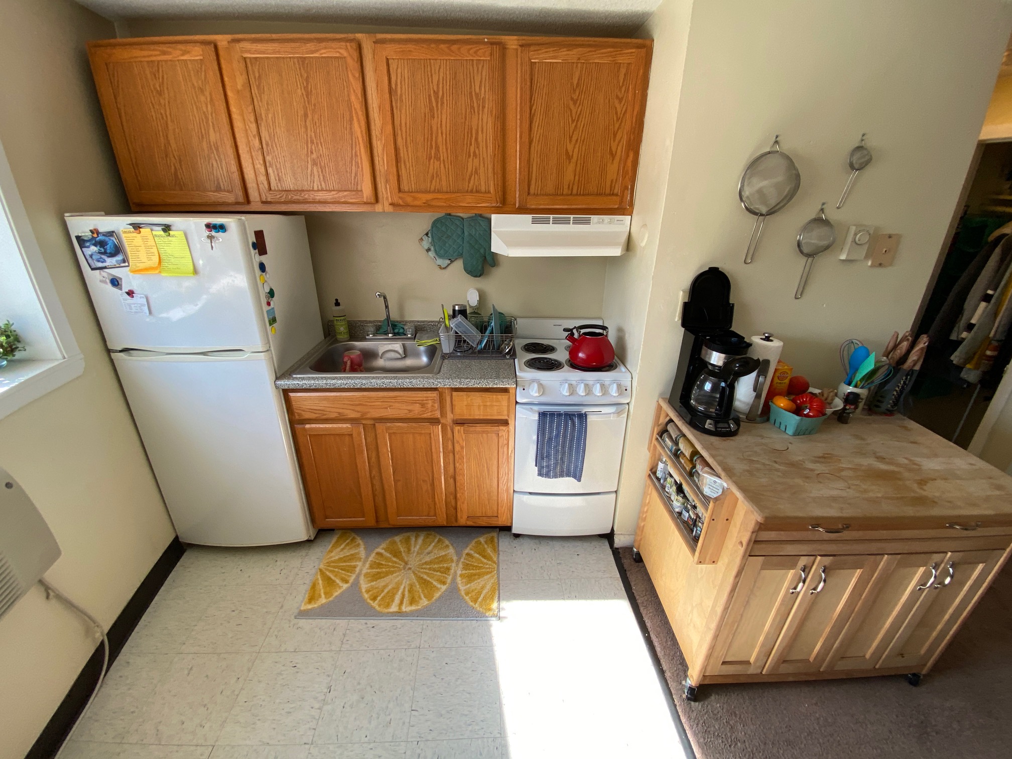 231 Harrison Ave, Chinatown