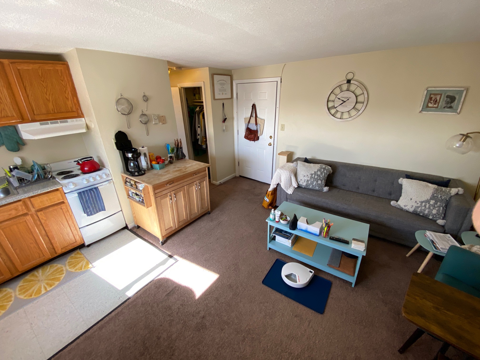 231 Harrison Ave, Chinatown