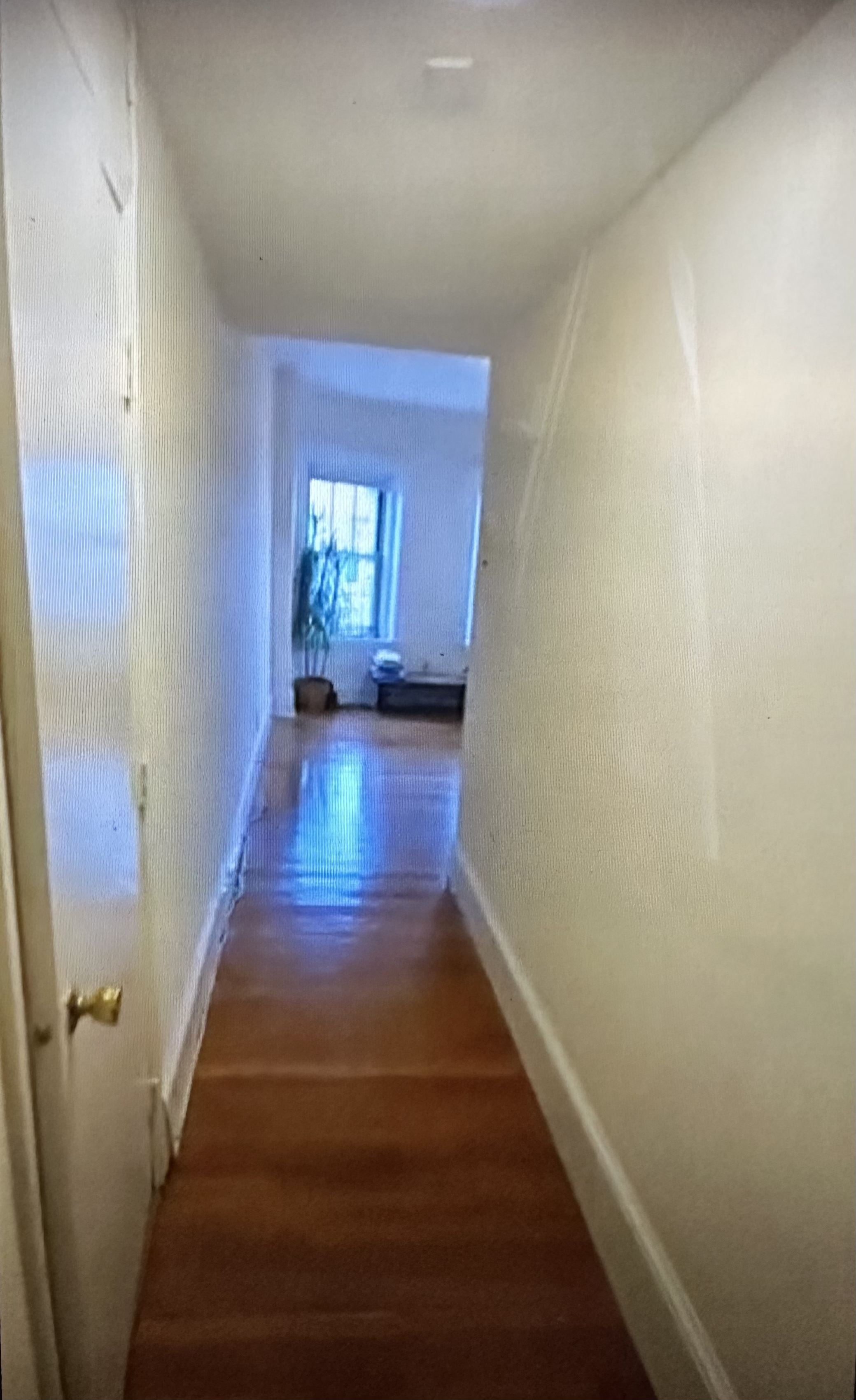 1315 Commonwealth Ave, Allston