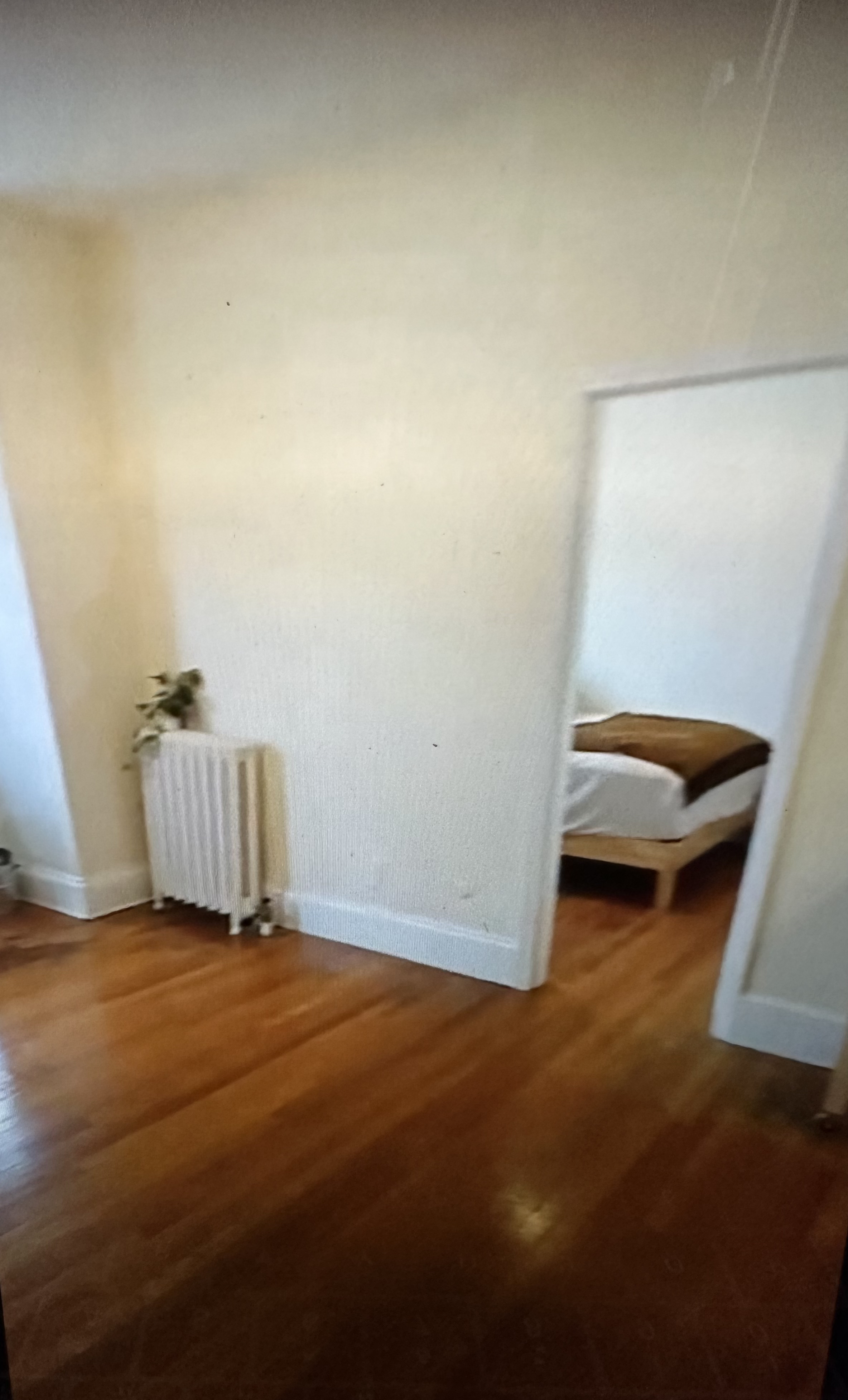 1315 Commonwealth Ave, Allston