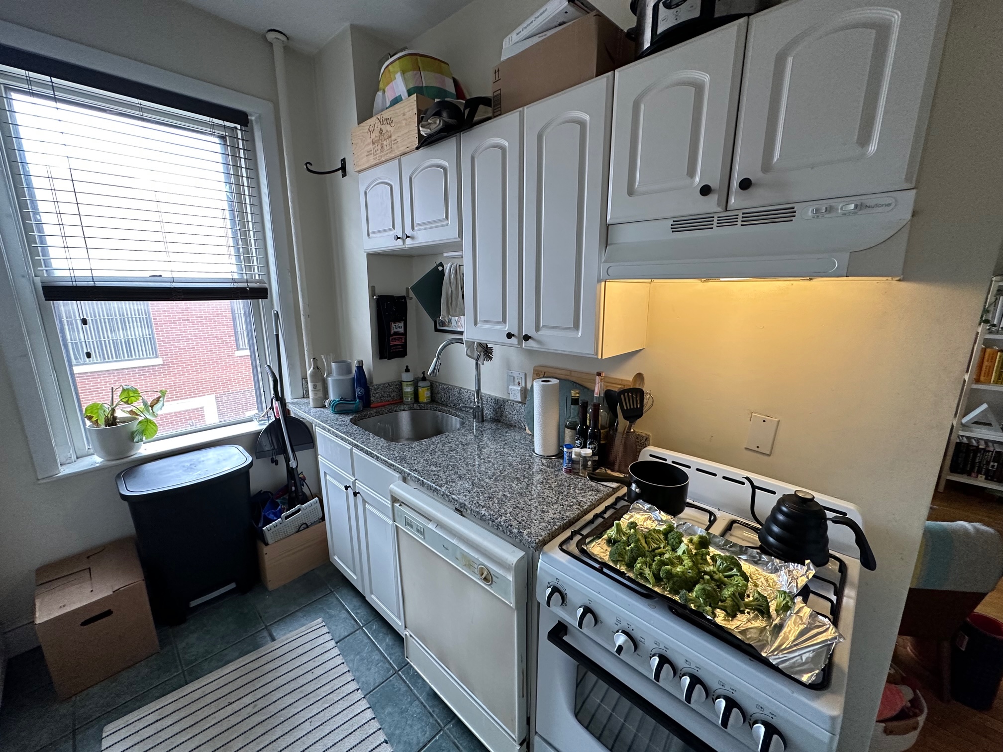 14 Irving St, Beacon Hill