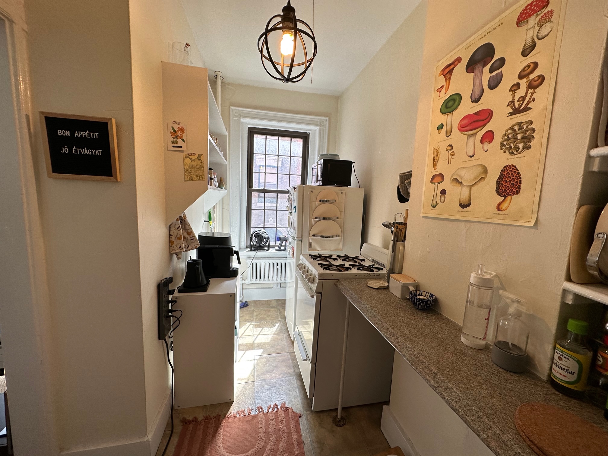 99 Myrtle St, Beacon Hill