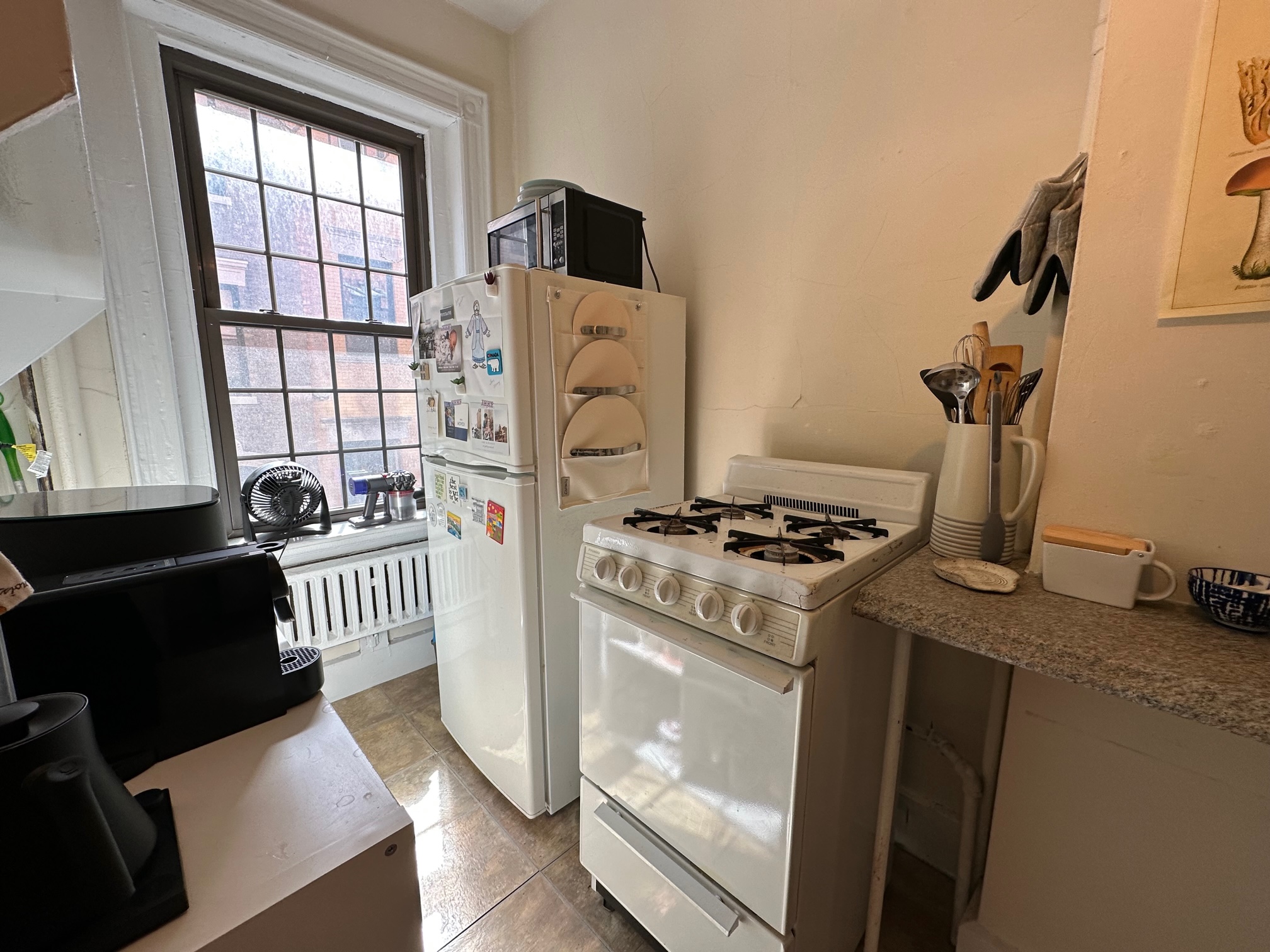 99 Myrtle St, Beacon Hill